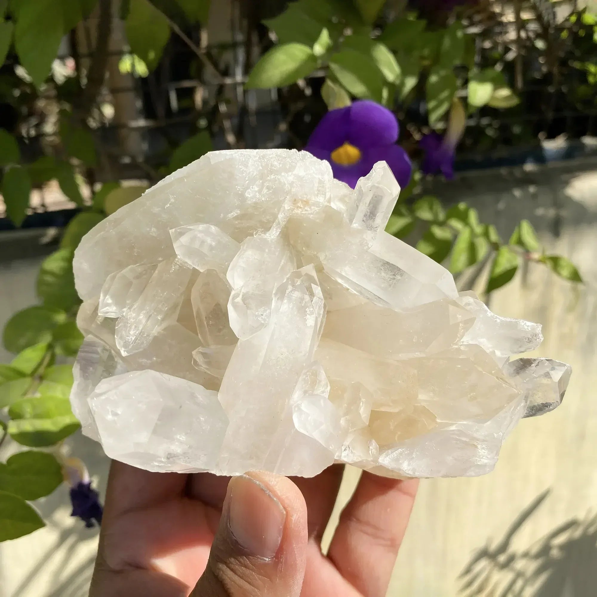 Natural Himalayan White Quartz Cluster 585g Himalayan Quartz