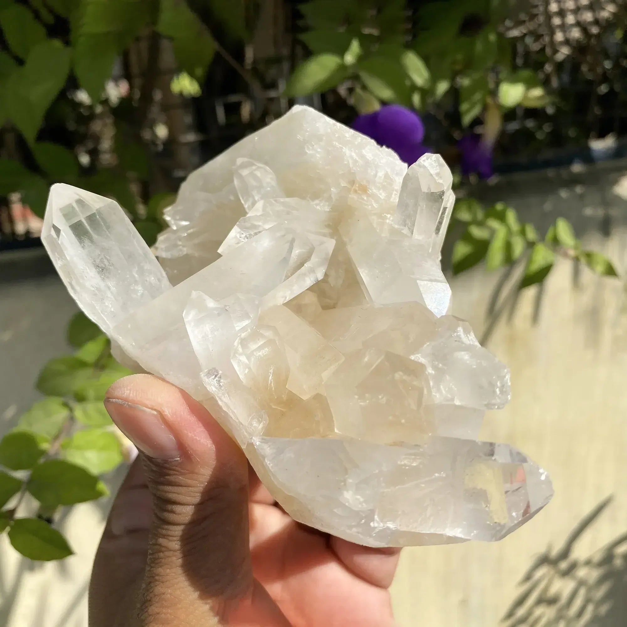 Natural Himalayan White Quartz Cluster 585g Himalayan Quartz