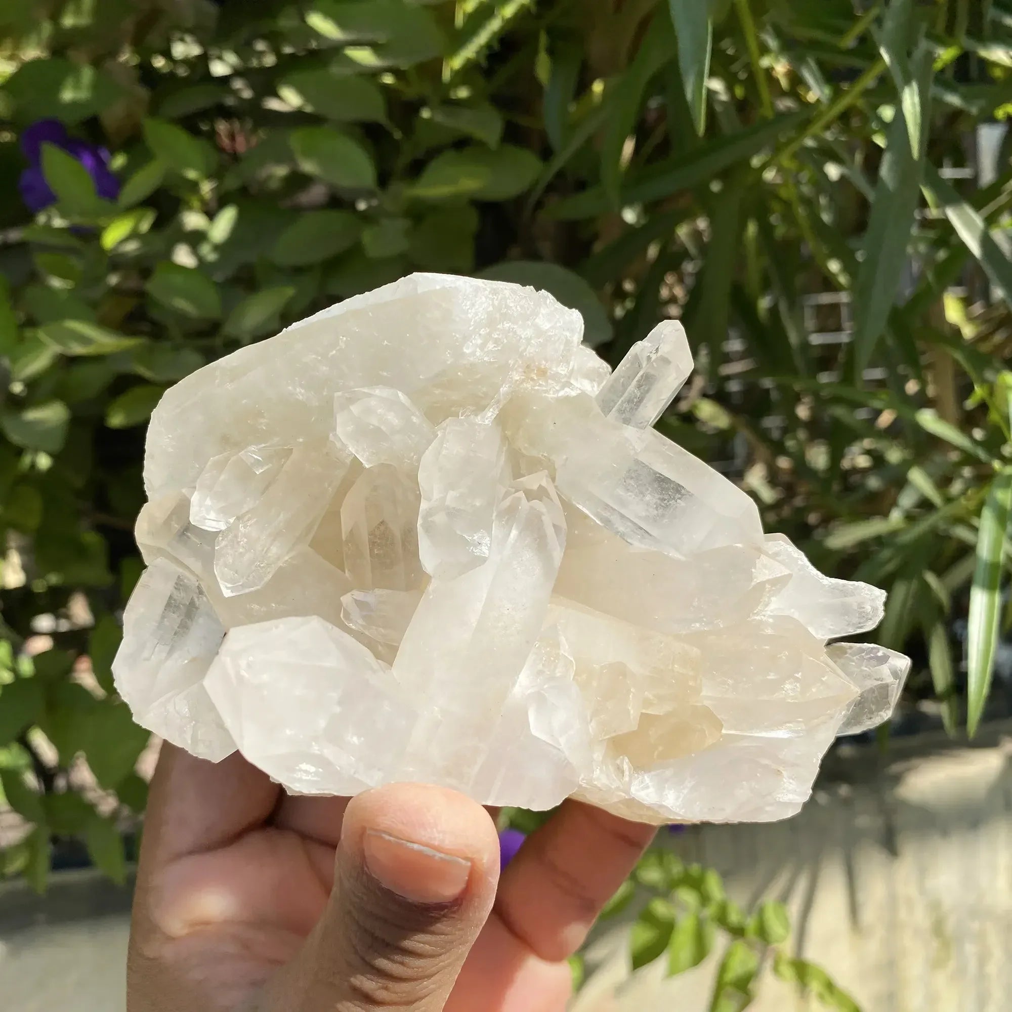 Natural Himalayan White Quartz Cluster 585g Himalayan Quartz