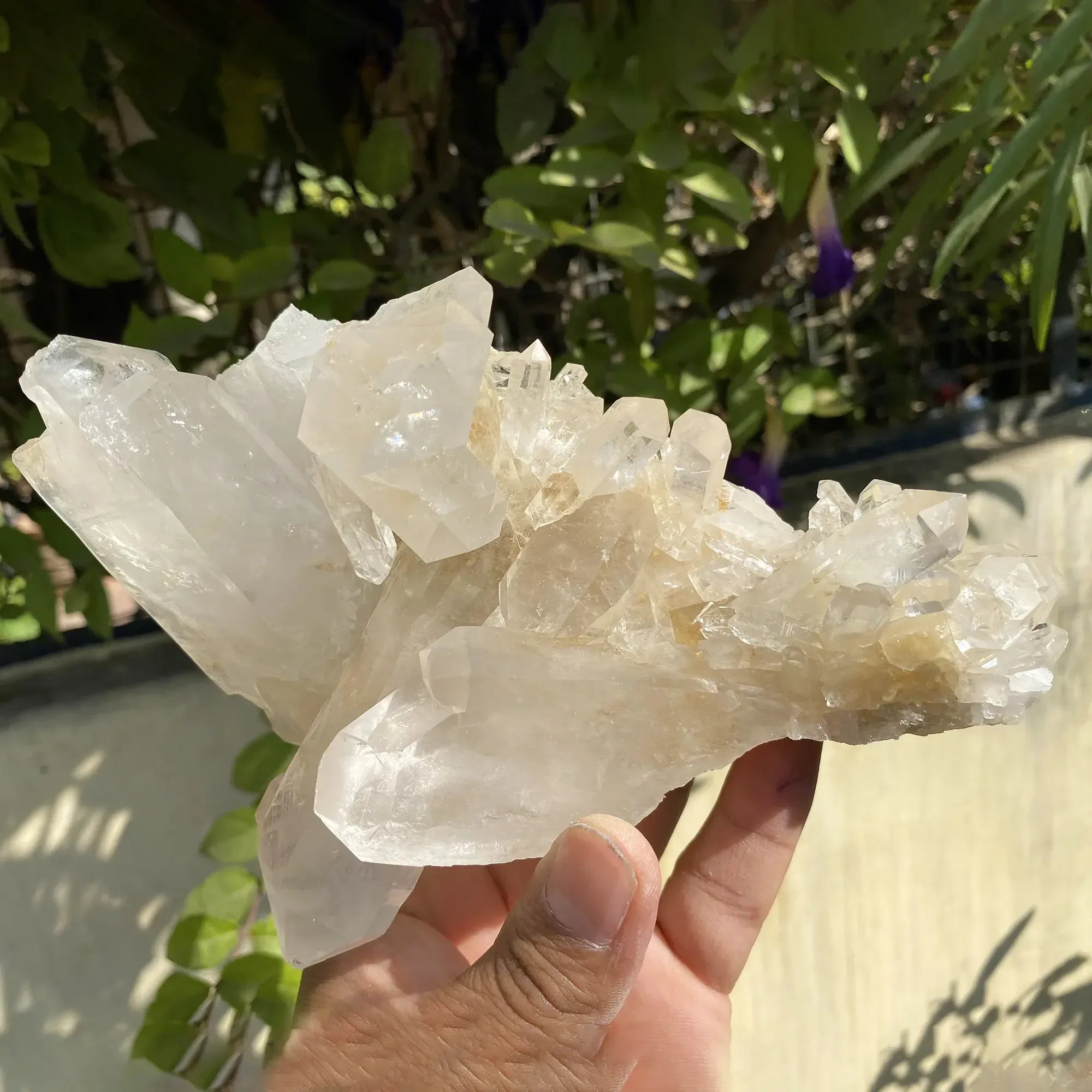 Natural Himalayan Pink Quartz Cluster 1020g Himalayan Quartz