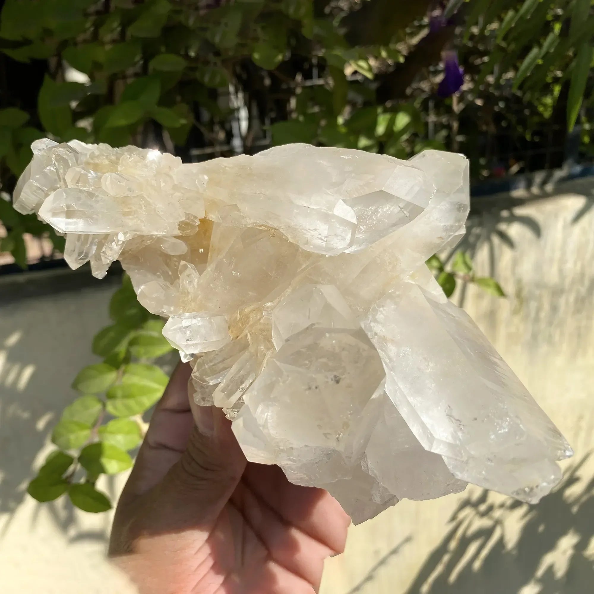 Natural Himalayan Pink Quartz Cluster 1020g Himalayan Quartz