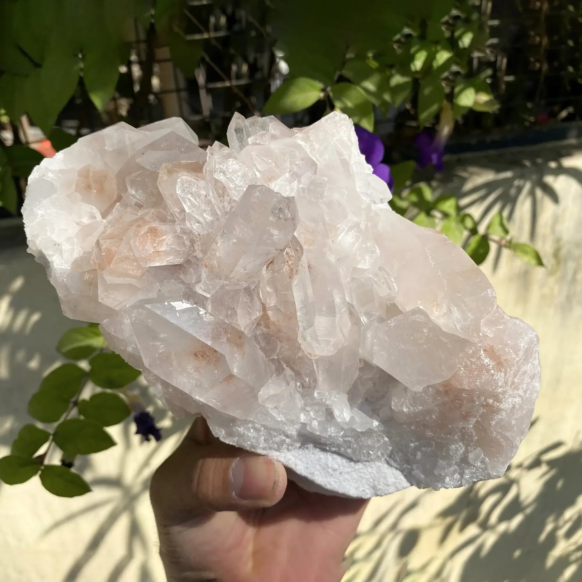 Natural Himalayan Pink Quartz Cluster 1580g Himalayan Quartz