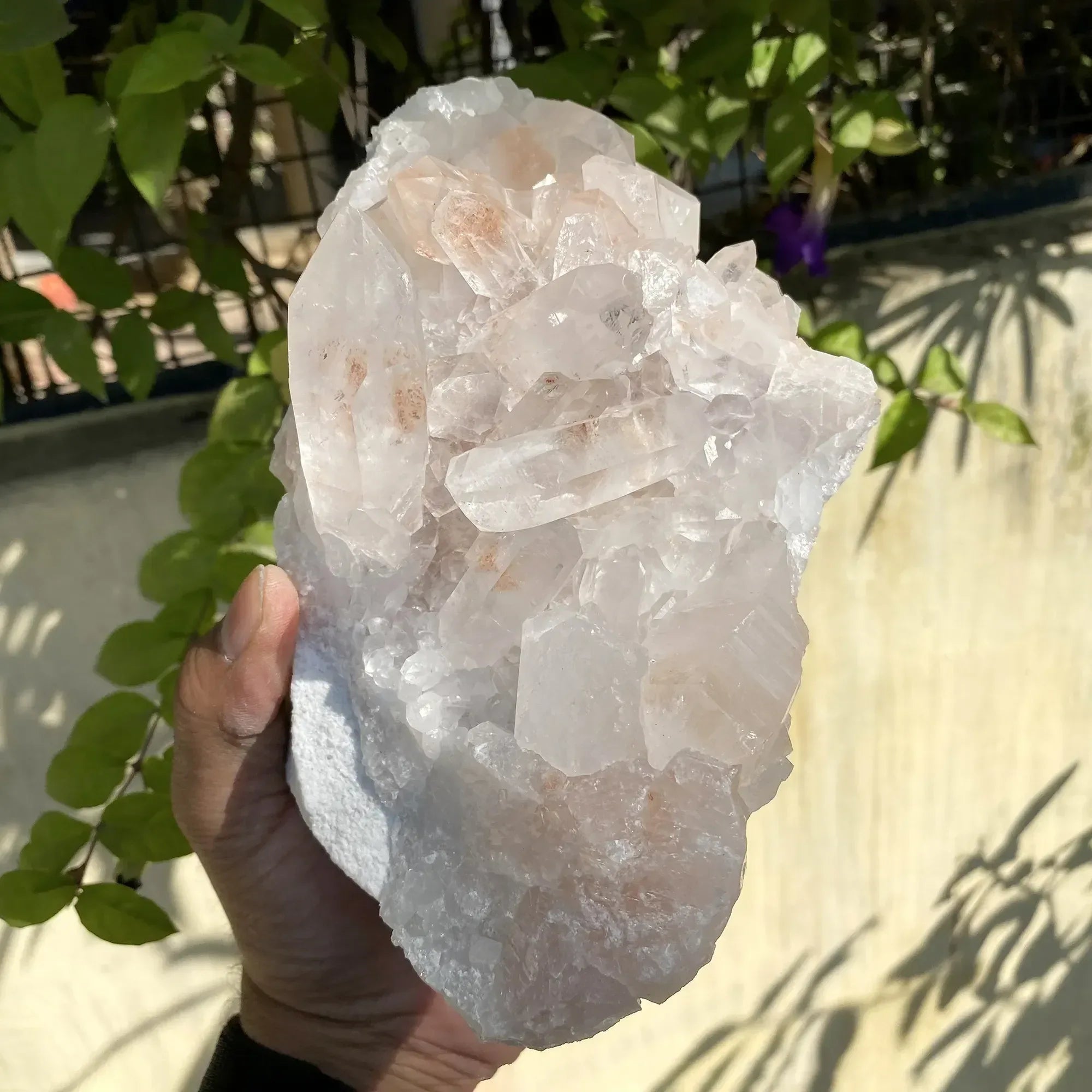 Natural Himalayan Pink Quartz Cluster 1580g Himalayan Quartz
