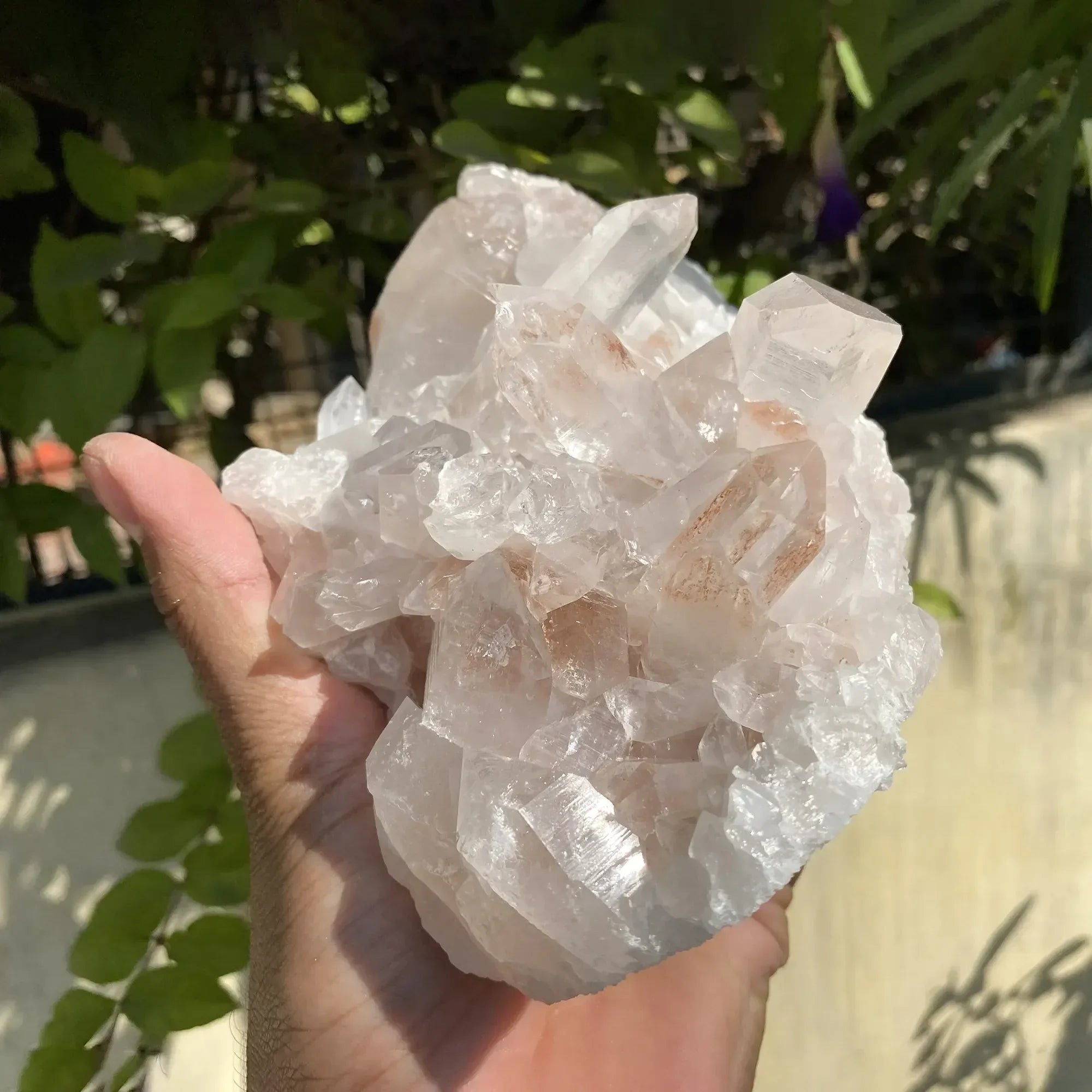 Natural Himalayan Pink Quartz Cluster 1580g Himalayan Quartz