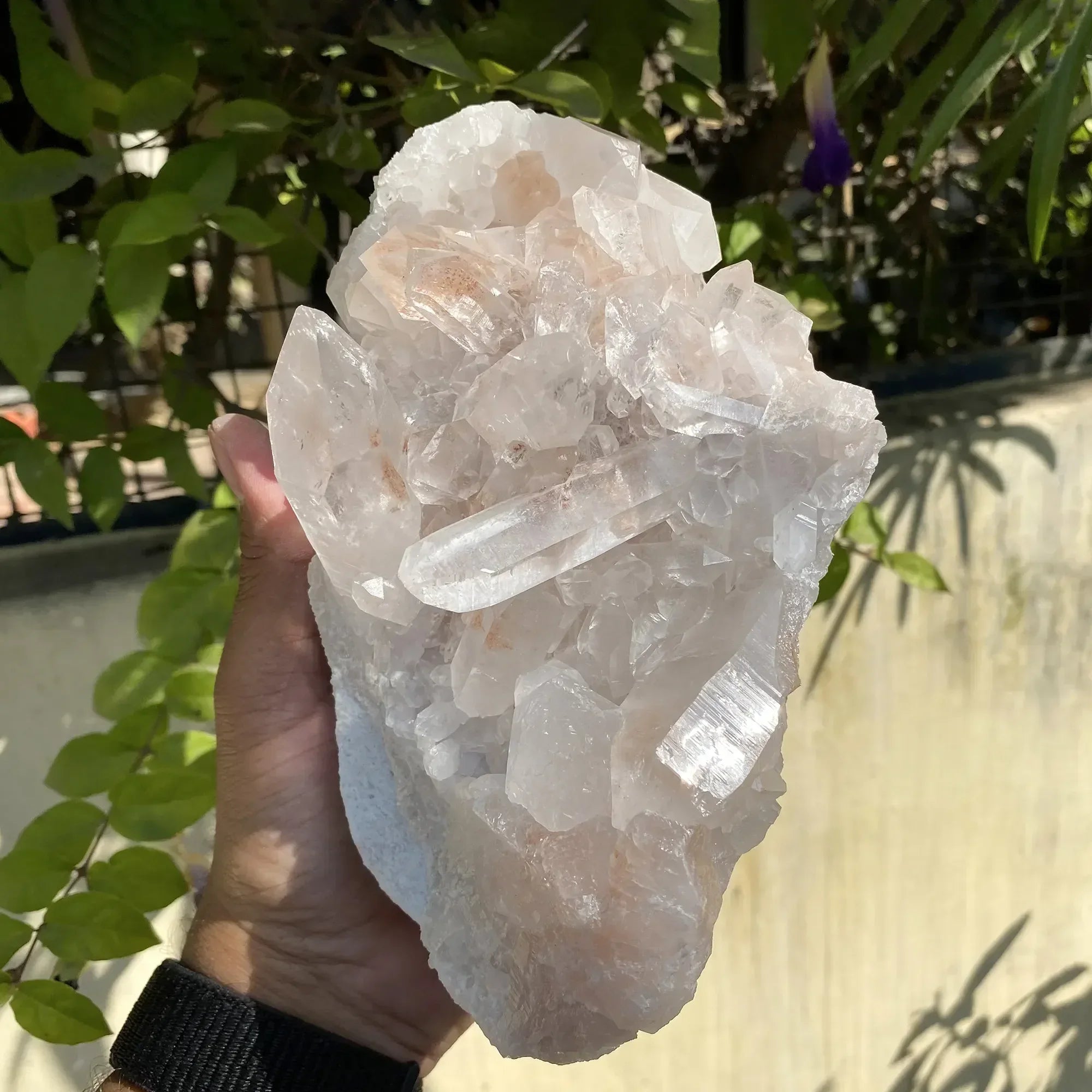 Natural Himalayan Pink Quartz Cluster 1580g Himalayan Quartz