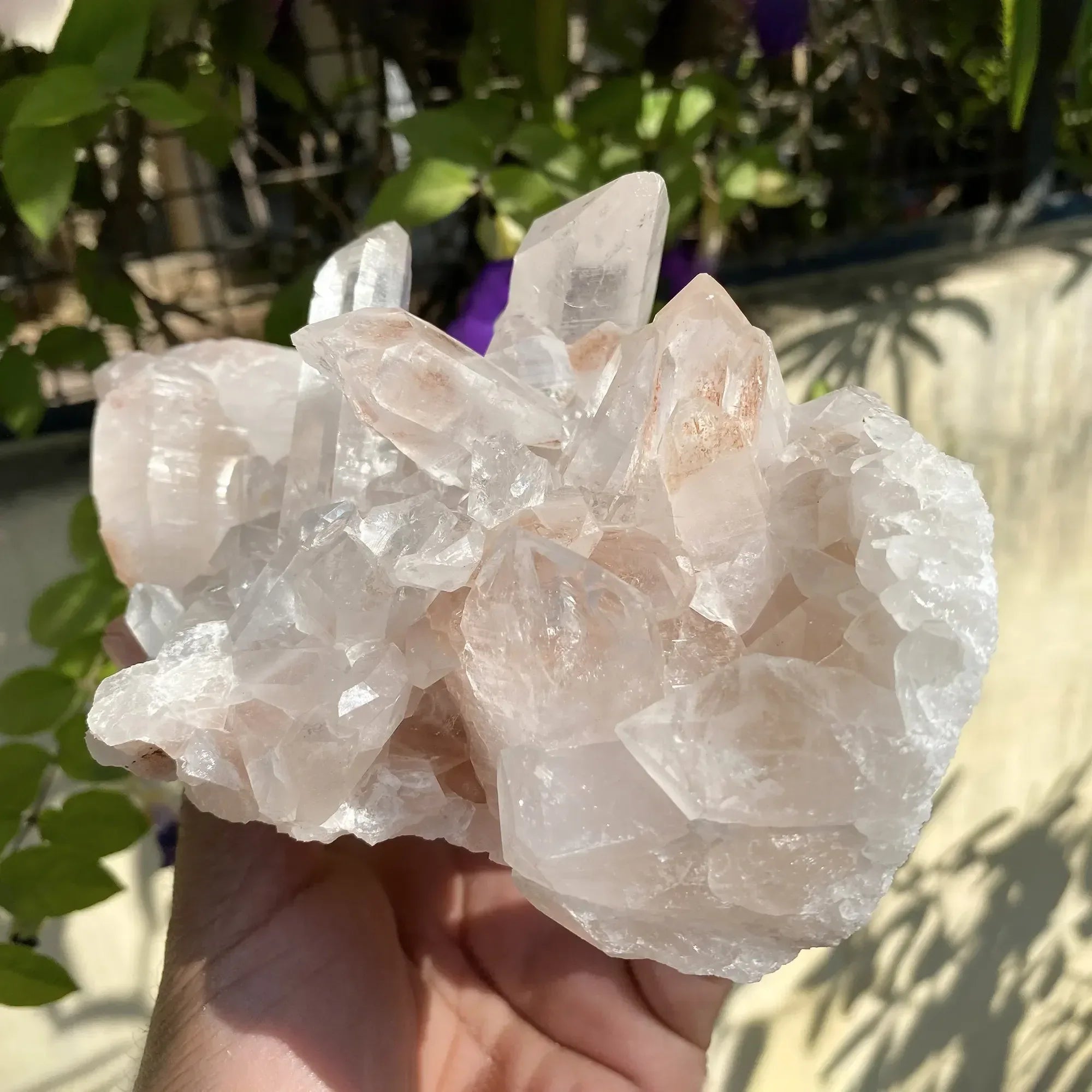 Natural Himalayan Pink Quartz Cluster 1580g Himalayan Quartz