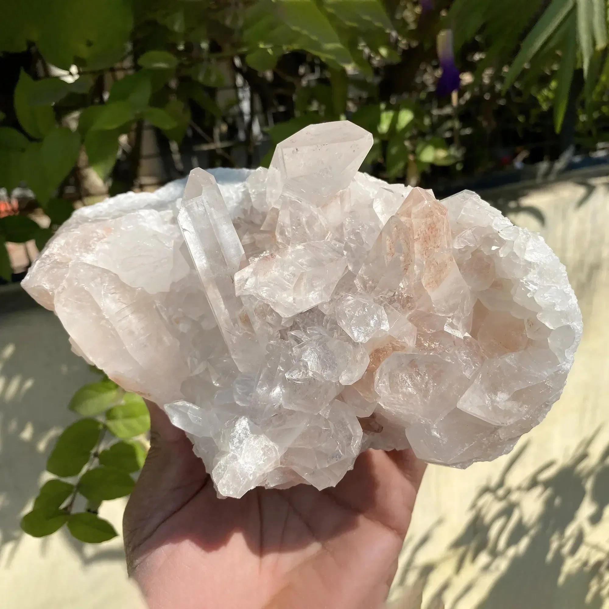 Natural Himalayan Pink Quartz Cluster 1580g Himalayan Quartz