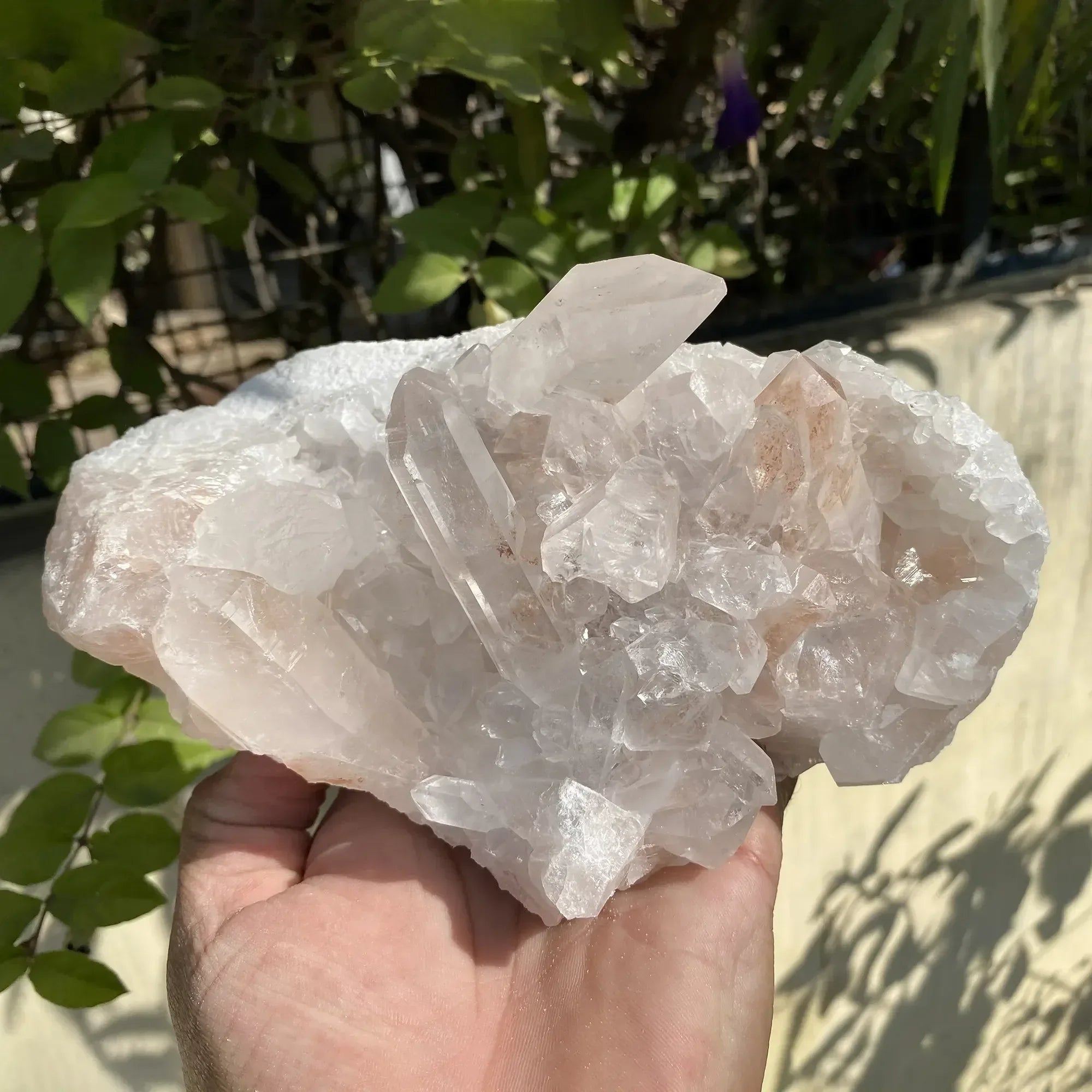 Natural Himalayan Pink Quartz Cluster 1580g Himalayan Quartz