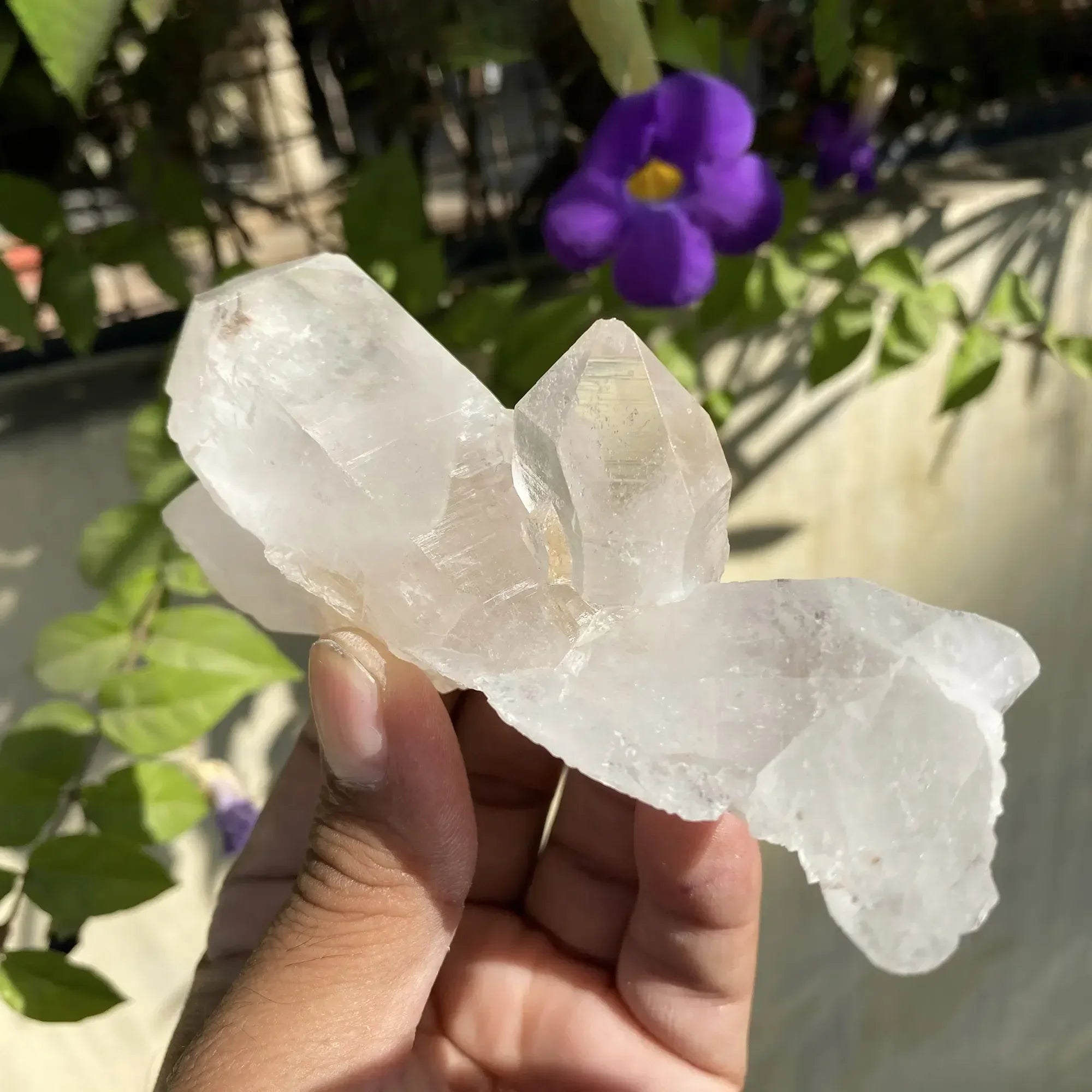 Natural Himalayan White Quartz Cluster 220g Himalayan Quartz