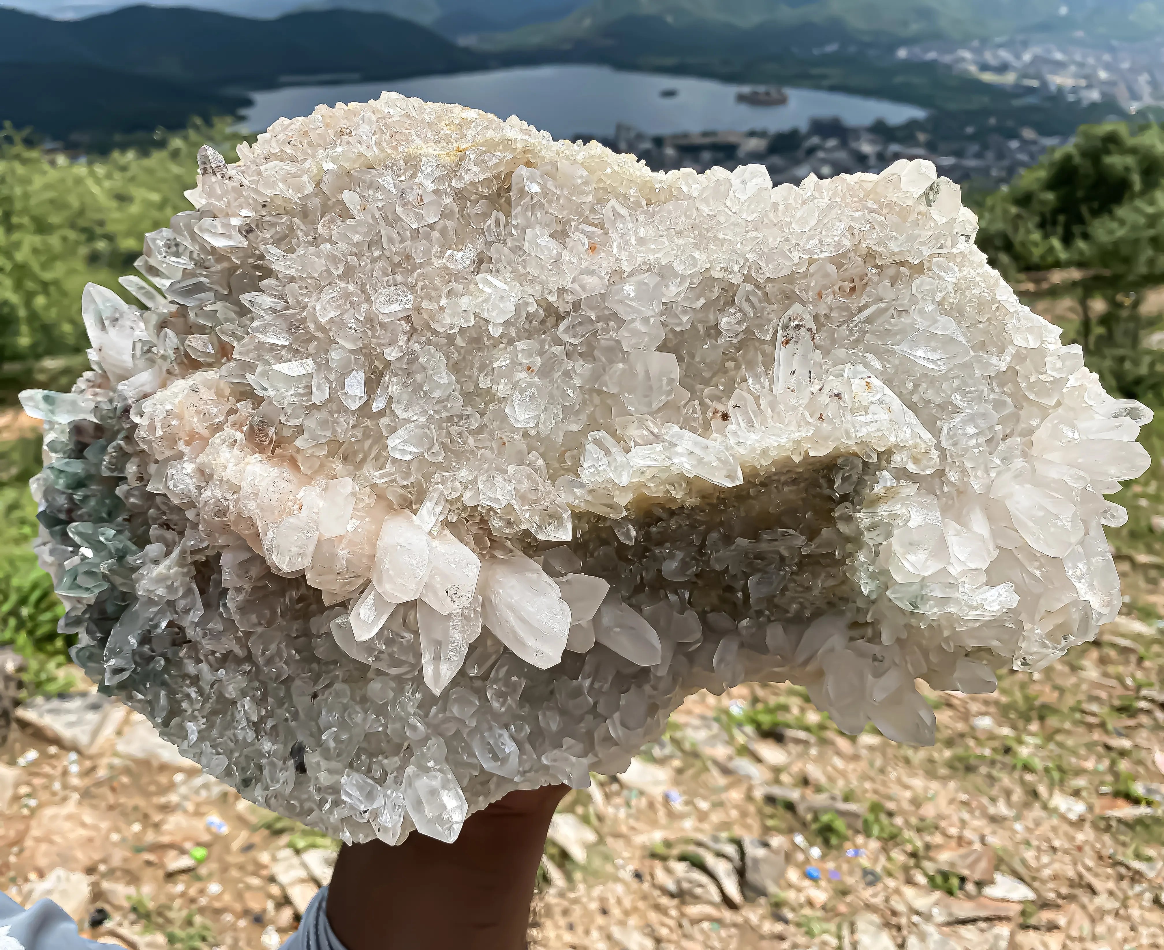 Natural Himalayan Pink Quartz Cluster – 6000 g  Large Raw Crystal Points