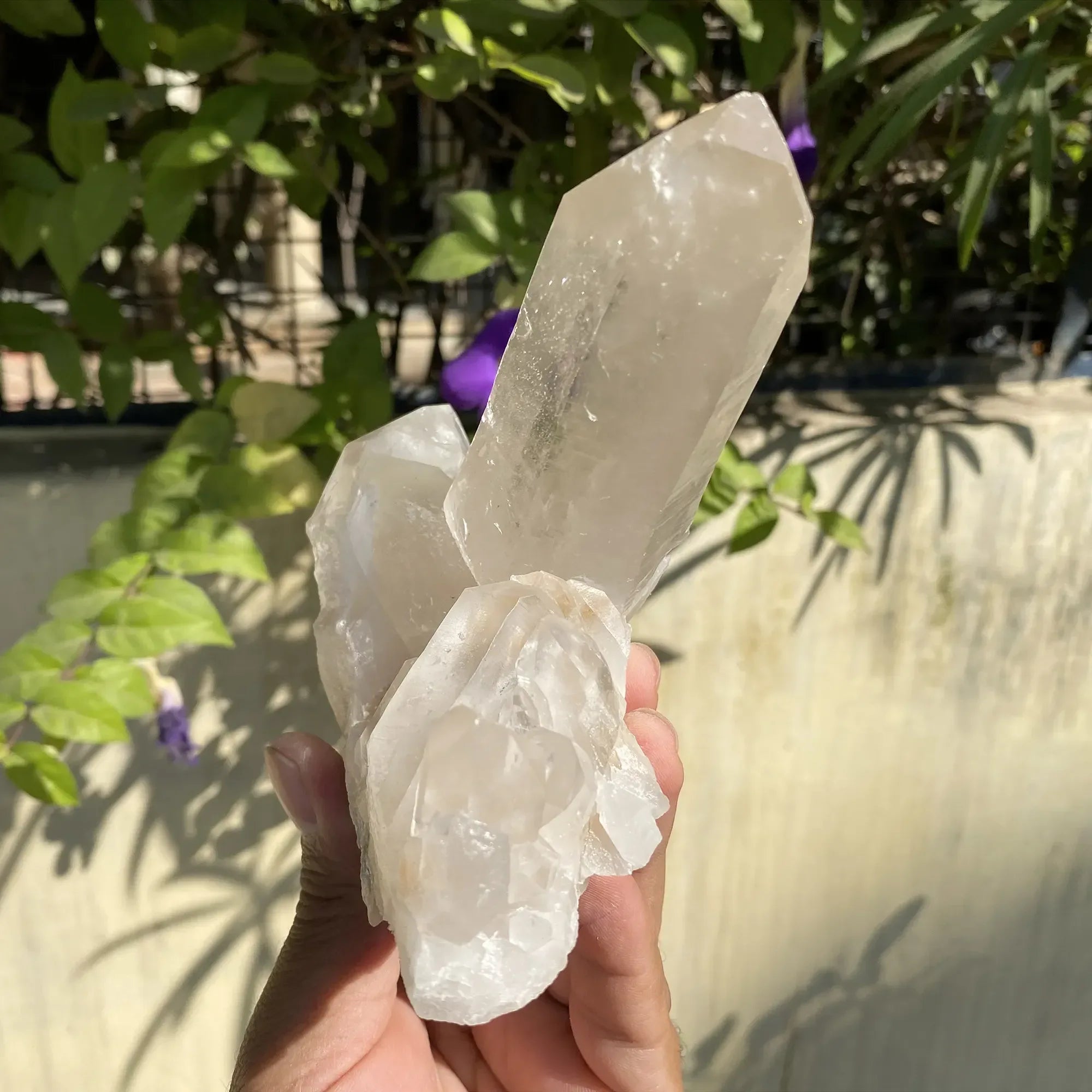 Natural Himalayan White Quartz Cluster 735g Himalayan Quartz