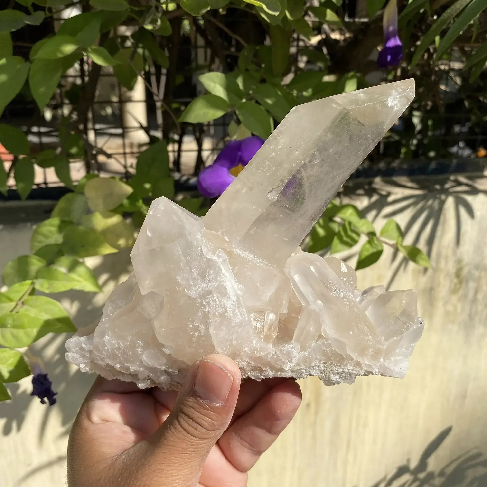 Natural Himalayan White Quartz Cluster 735g Himalayan Quartz