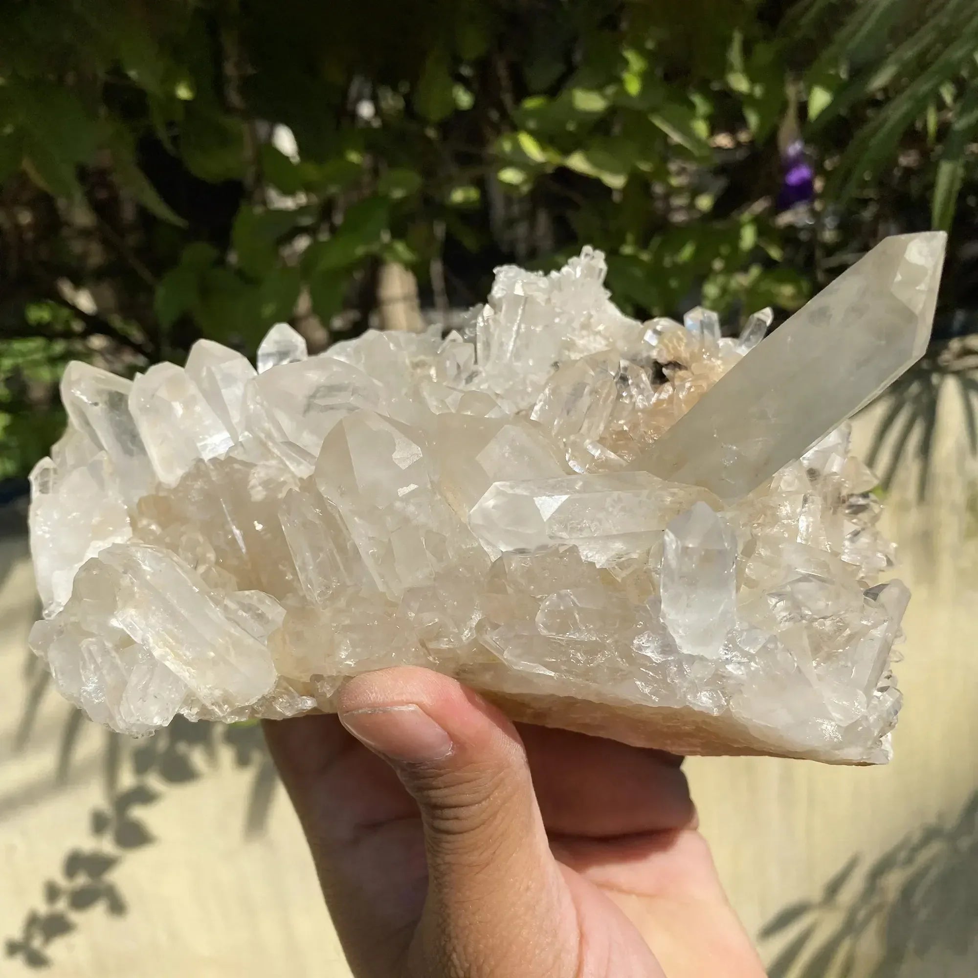 Natural Himalayan Pink Quartz Cluster 1445g Himalayan Quartz