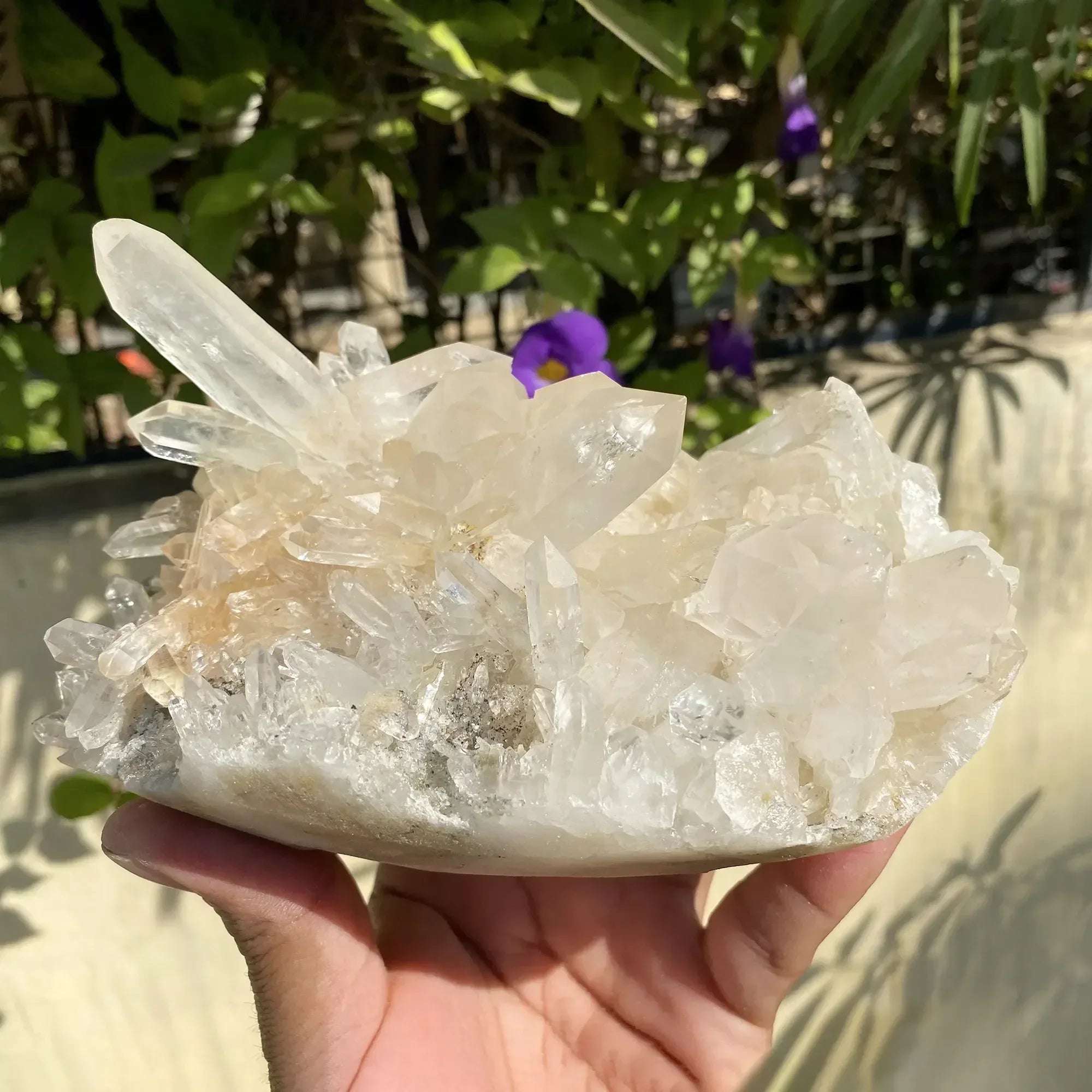 Natural Himalayan Pink Quartz Cluster 1445g Himalayan Quartz