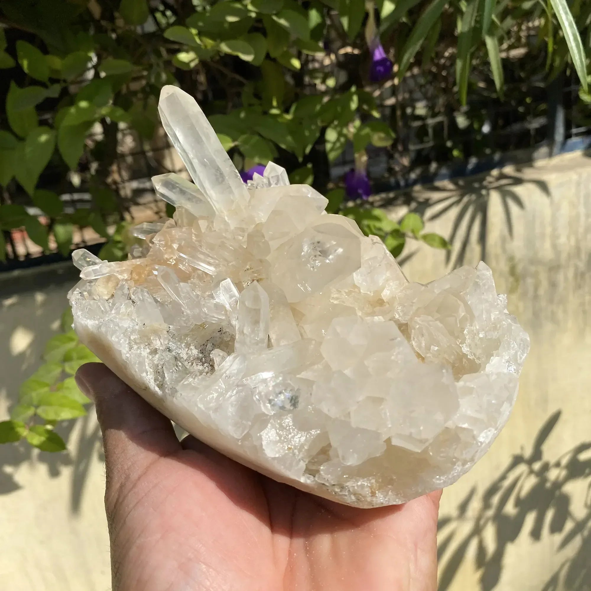 Natural Himalayan Pink Quartz Cluster 1445g Himalayan Quartz