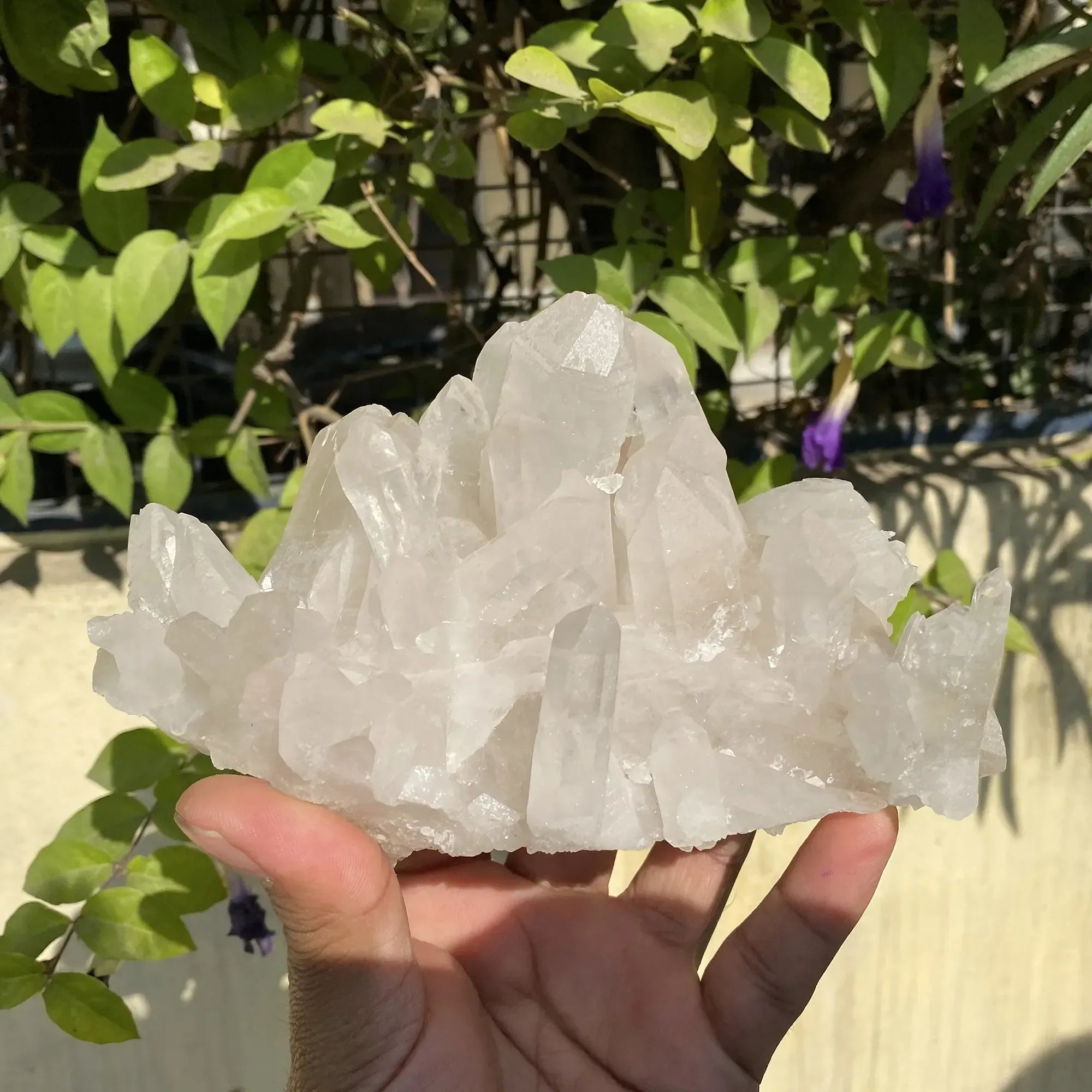 Natural Himalayan White Quartz Cluster 760g Himalayan Quartz