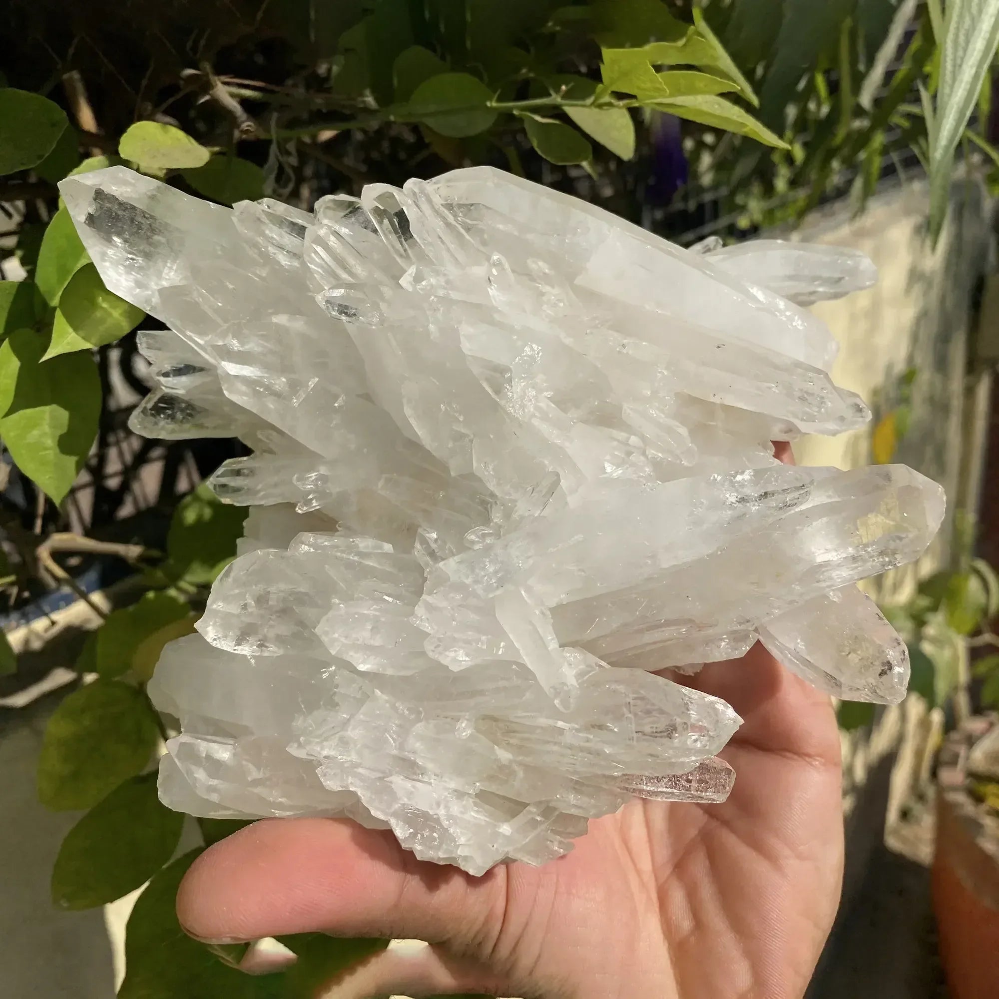 Natural Himalayan White Quartz Cluster 1075g Himalayan Quartz