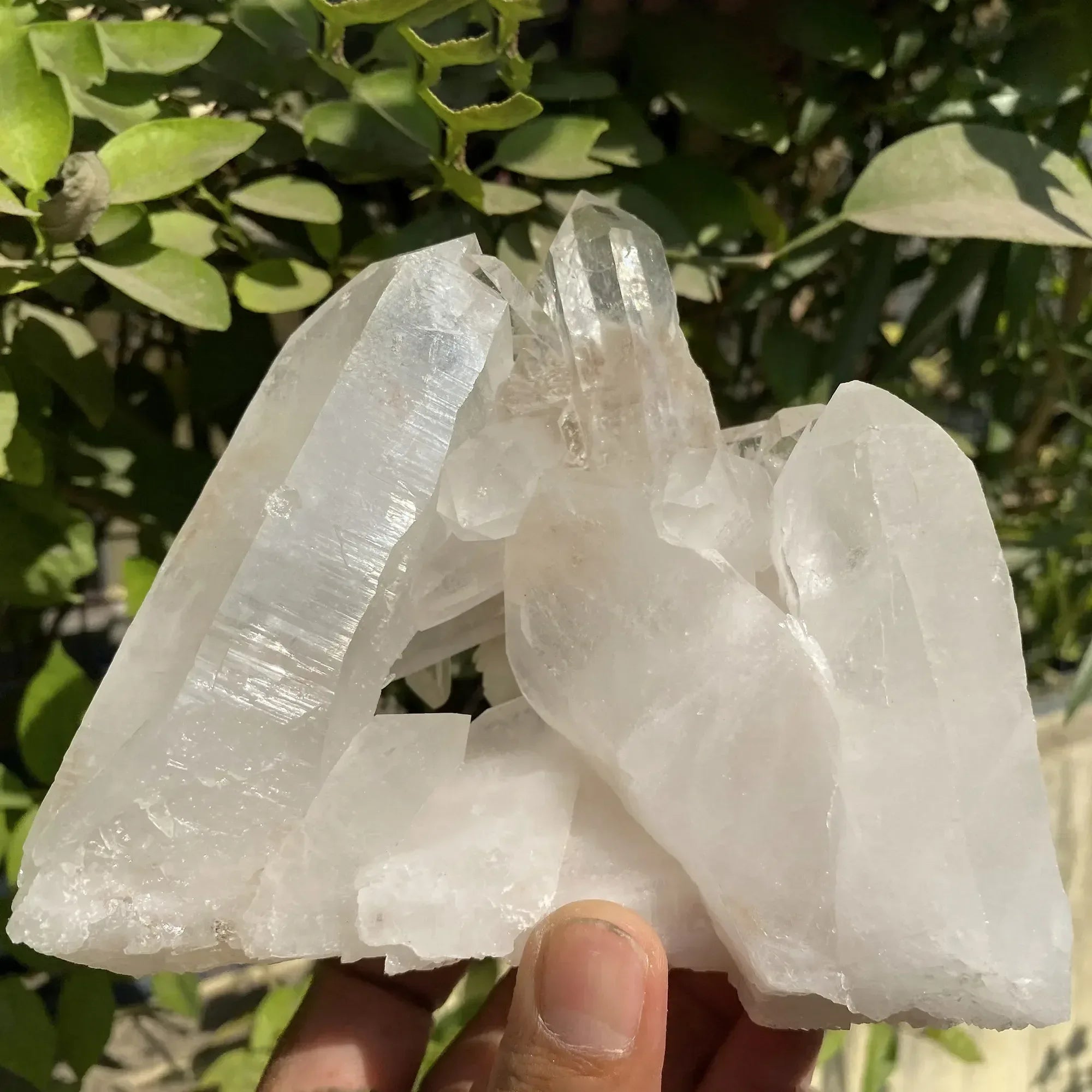 Natural Himalayan White Quartz Cluster 915g Himalayan Quartz