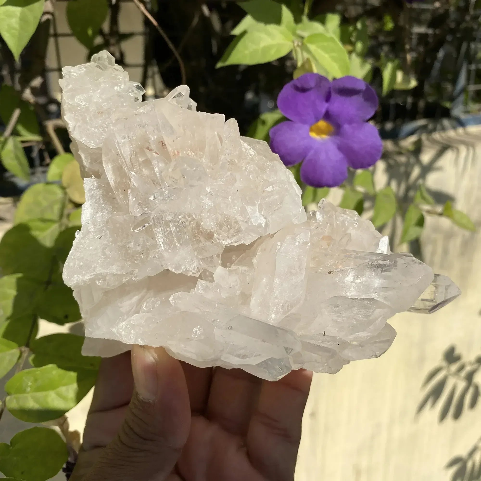 Natural Himalayan White Quartz Cluster 710g Himalayan Quartz
