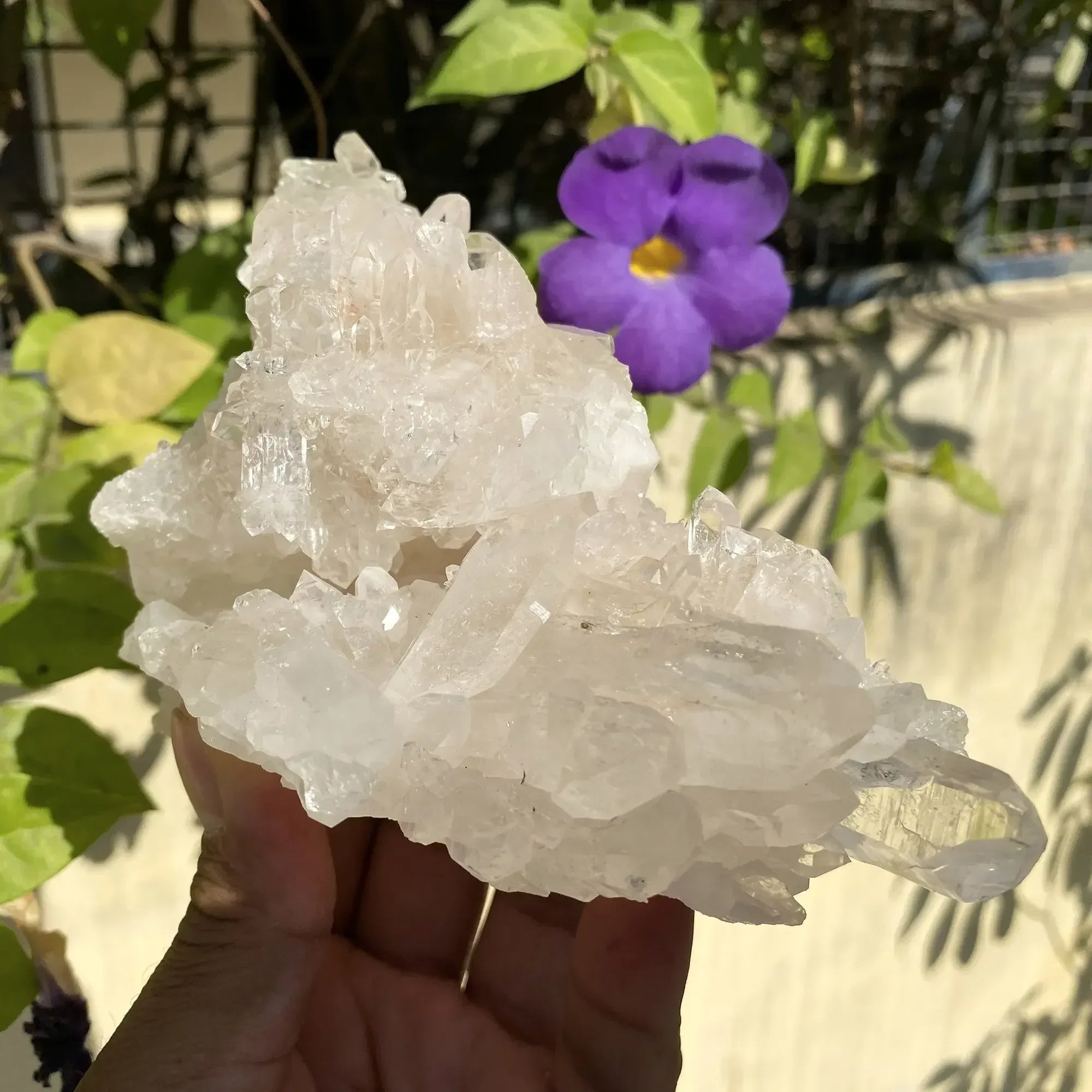 Natural Himalayan White Quartz Cluster 710g Himalayan Quartz