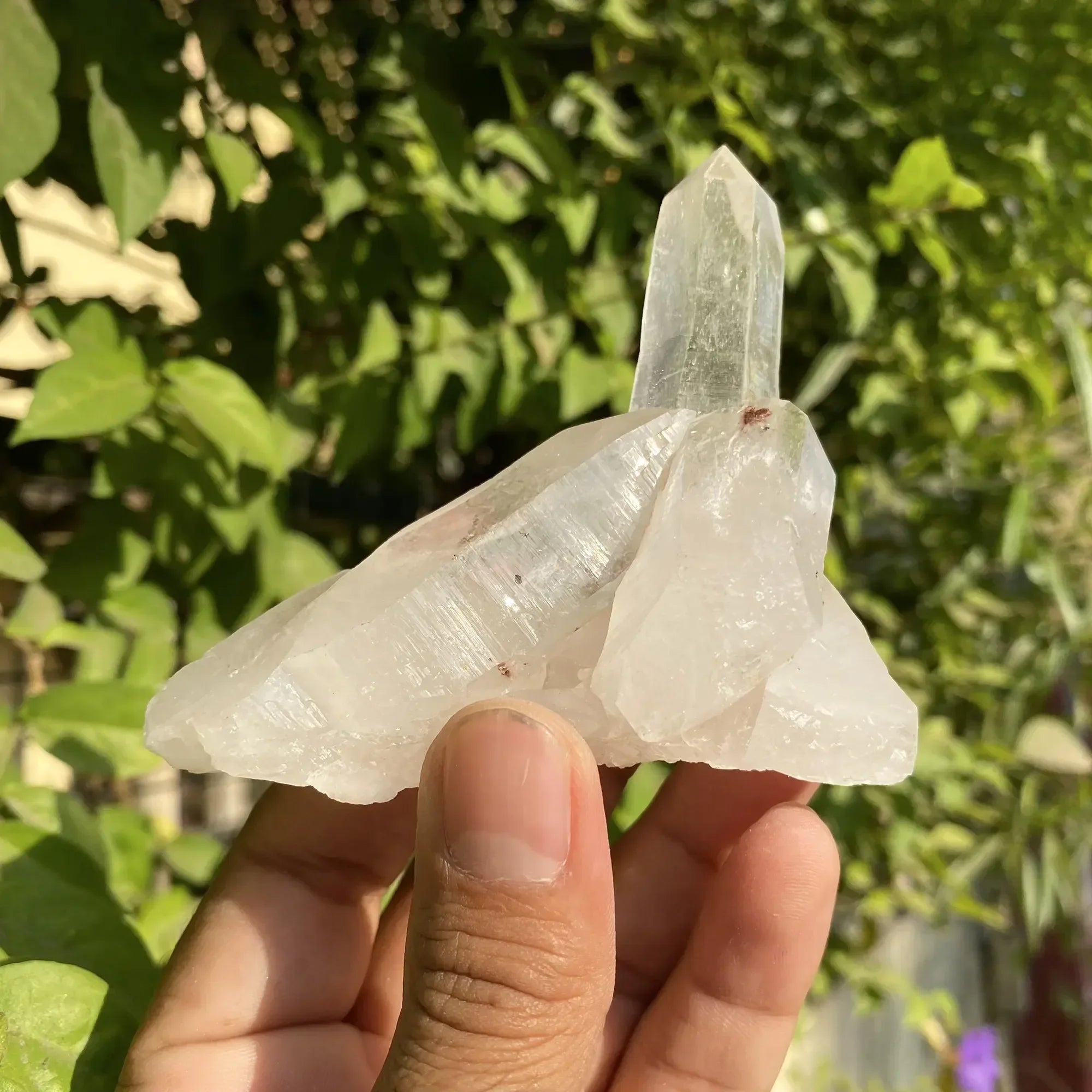 Natural Himalayan White Quartz Cluster Himalayan Quartz