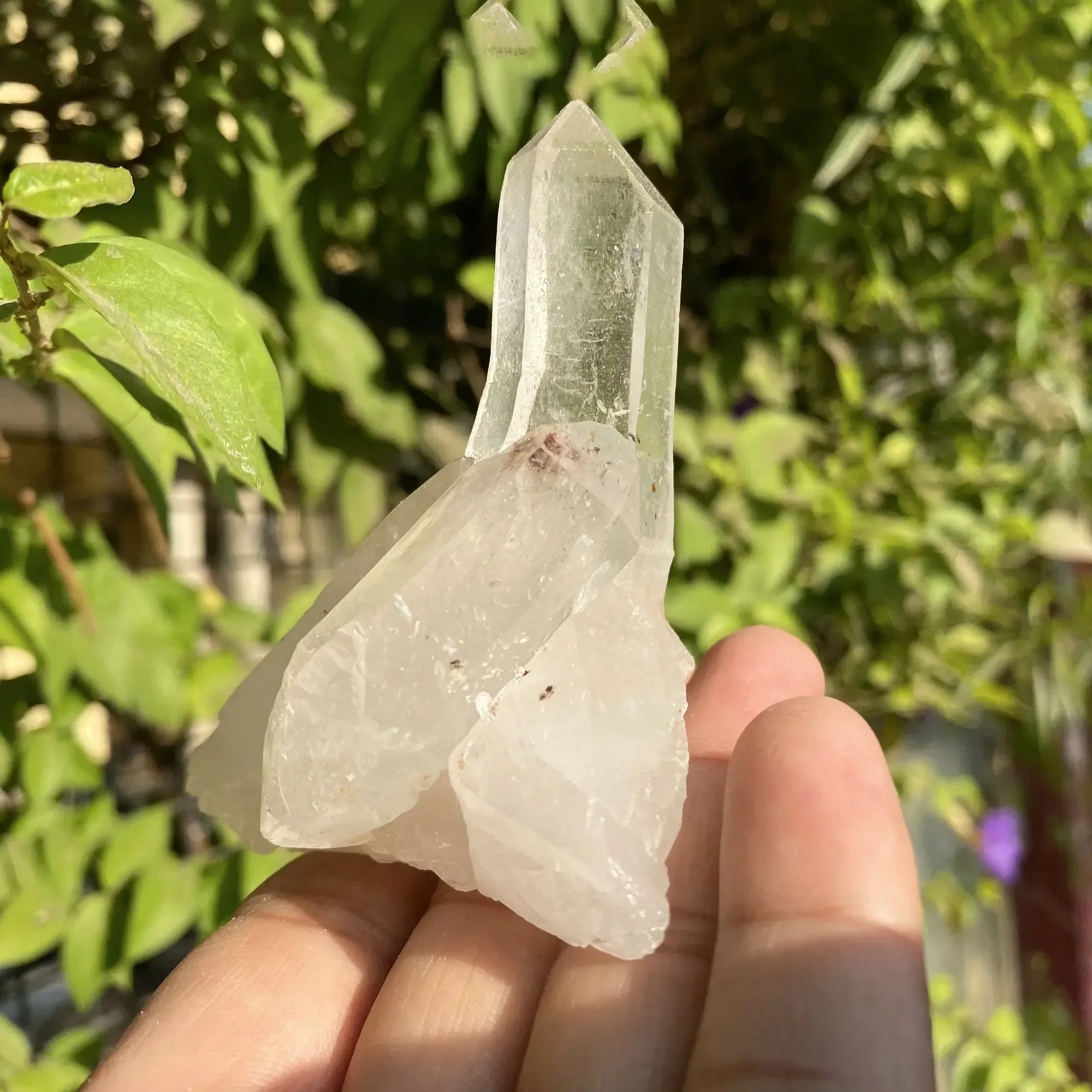 Natural Himalayan White Quartz Cluster Himalayan Quartz