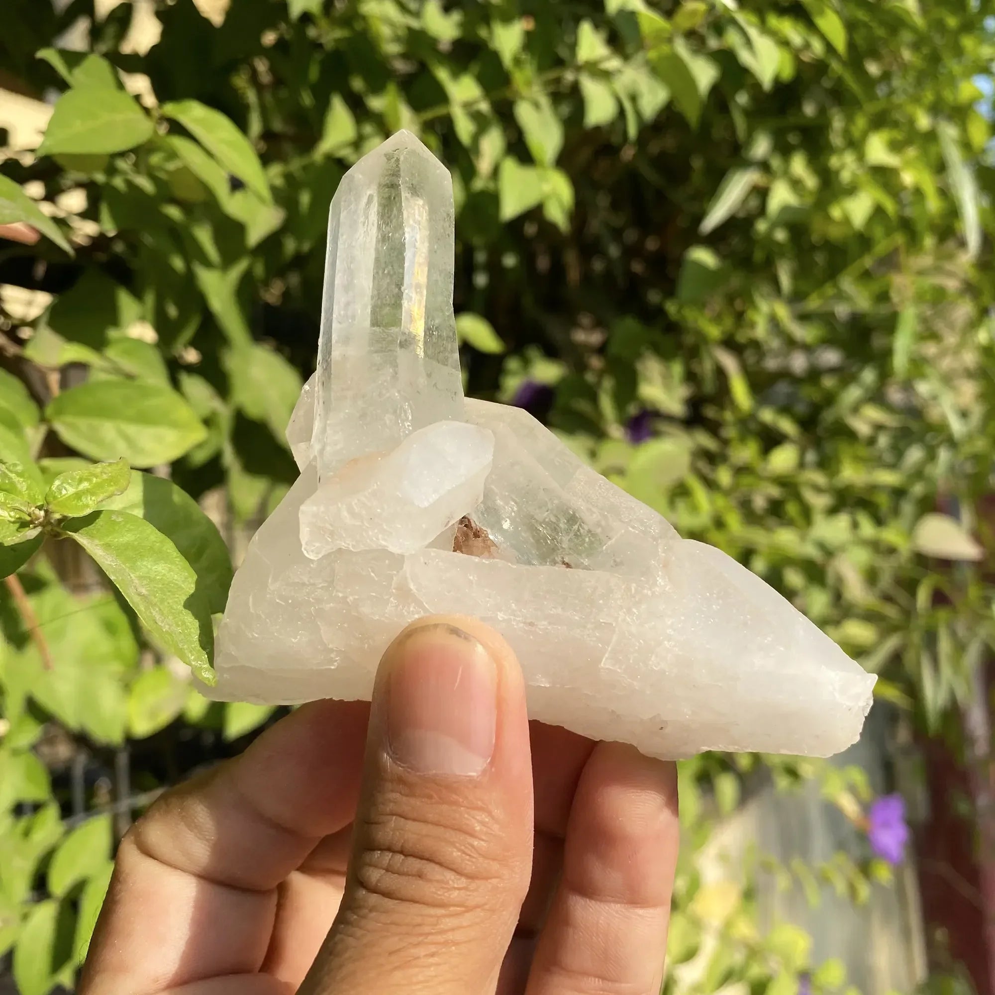 Natural Himalayan White Quartz Cluster Himalayan Quartz