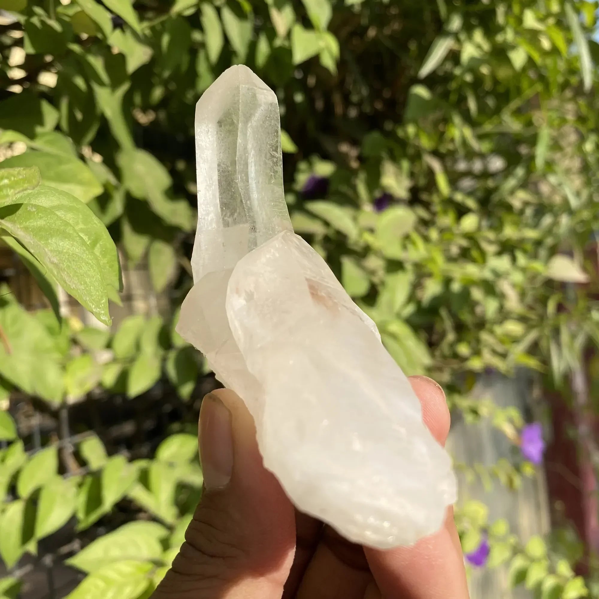 Natural Himalayan White Quartz Cluster Himalayan Quartz
