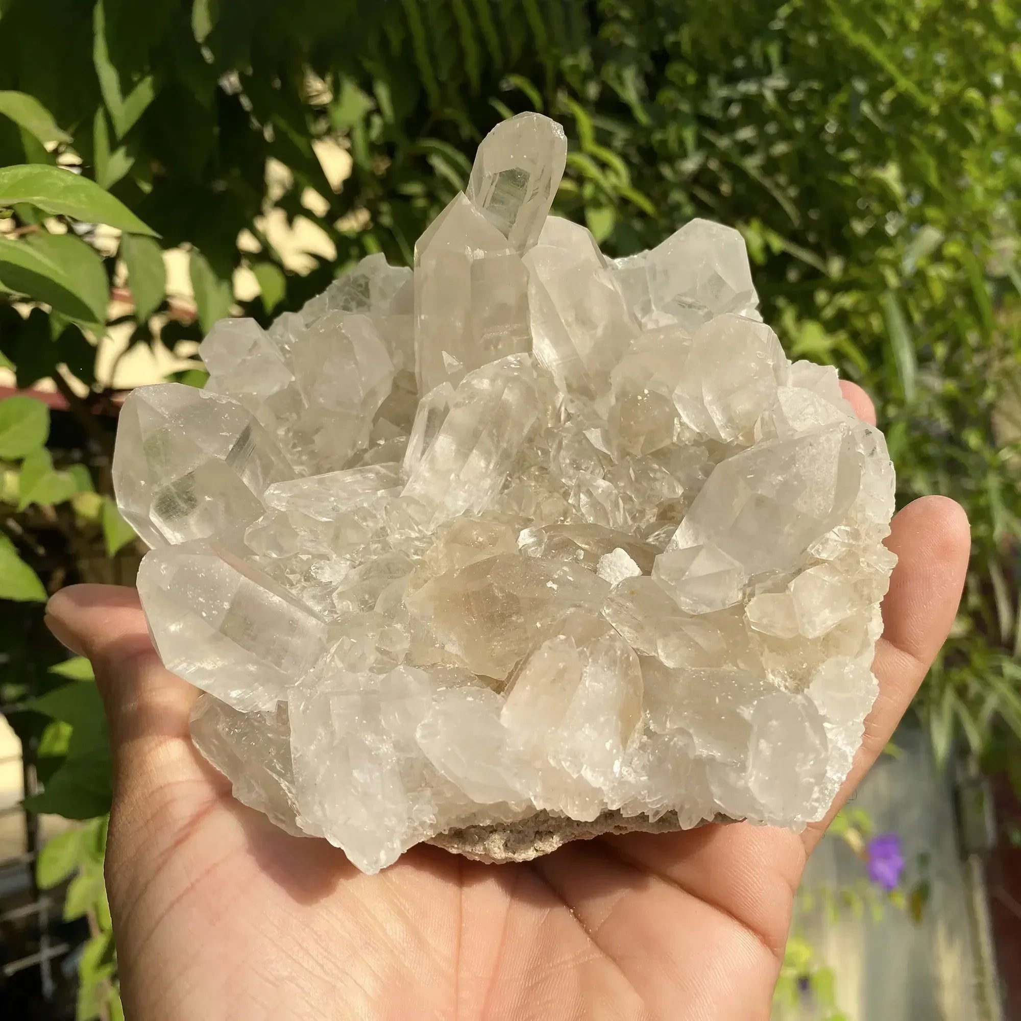 Natural Himalayan White Quartz Cluster Himalayan Quartz