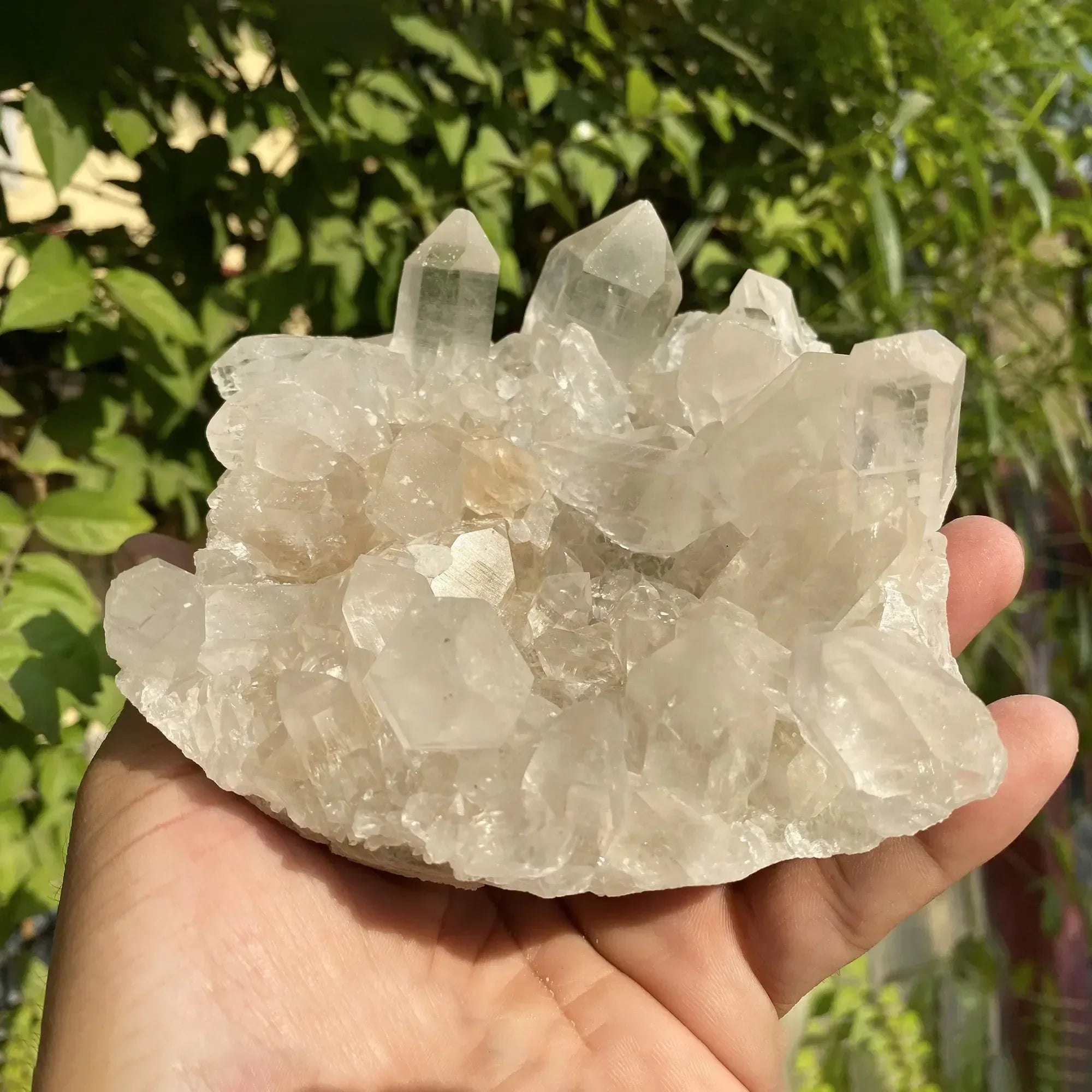 Natural Himalayan White Quartz Cluster Himalayan Quartz