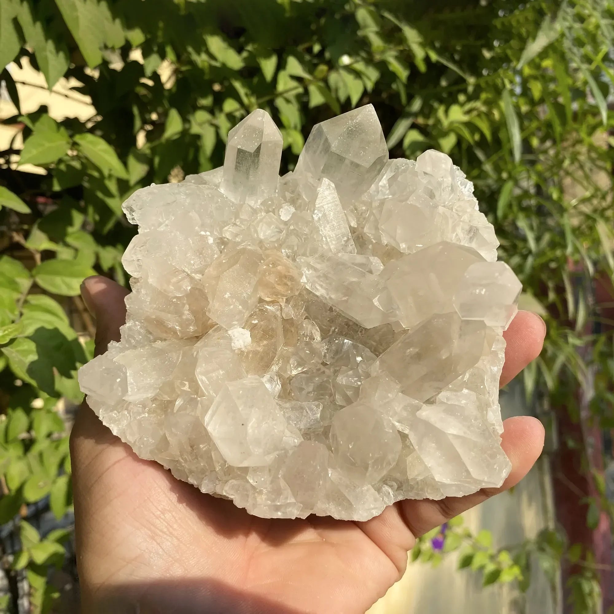 Natural Himalayan White Quartz Cluster Himalayan Quartz