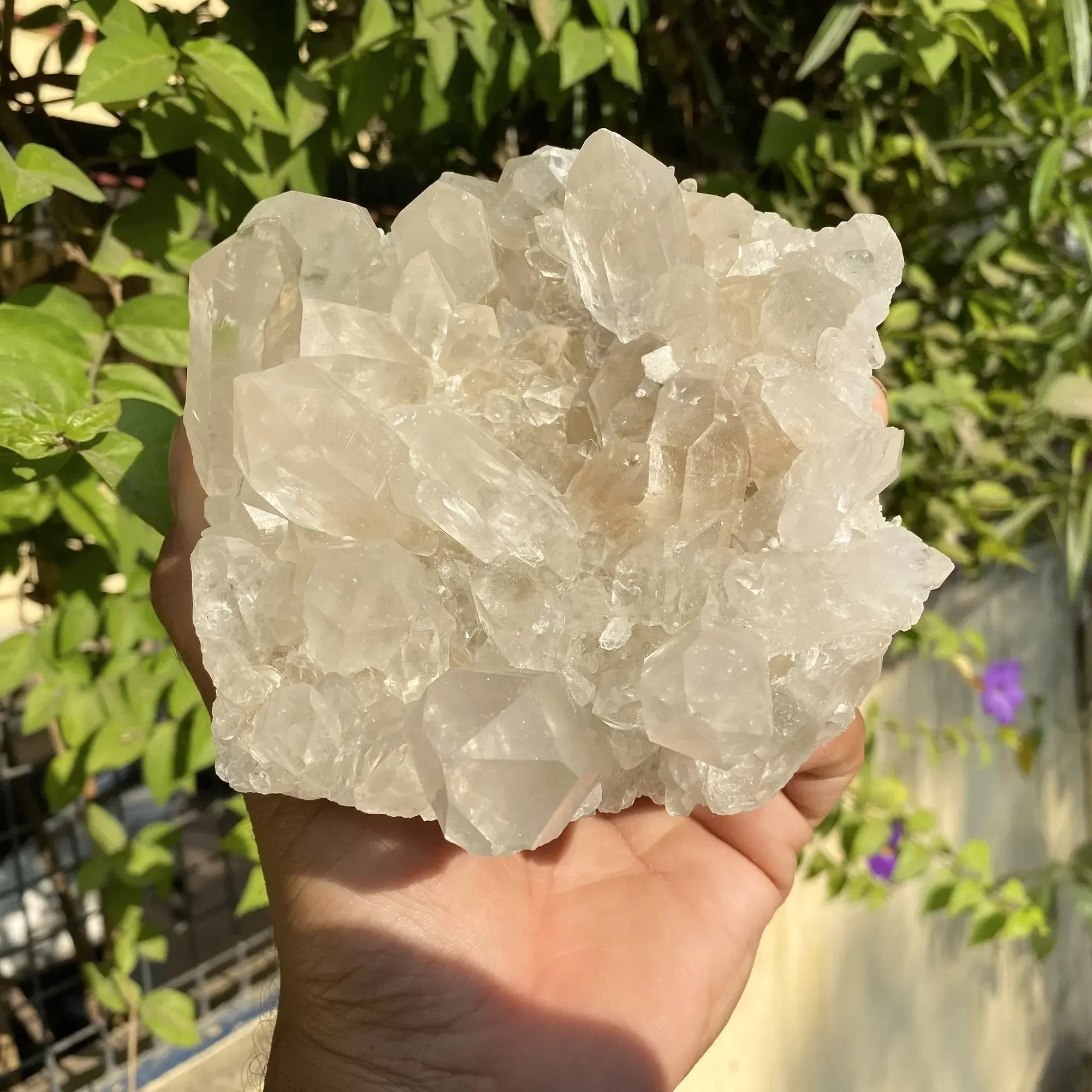Natural Himalayan White Quartz Cluster Himalayan Quartz