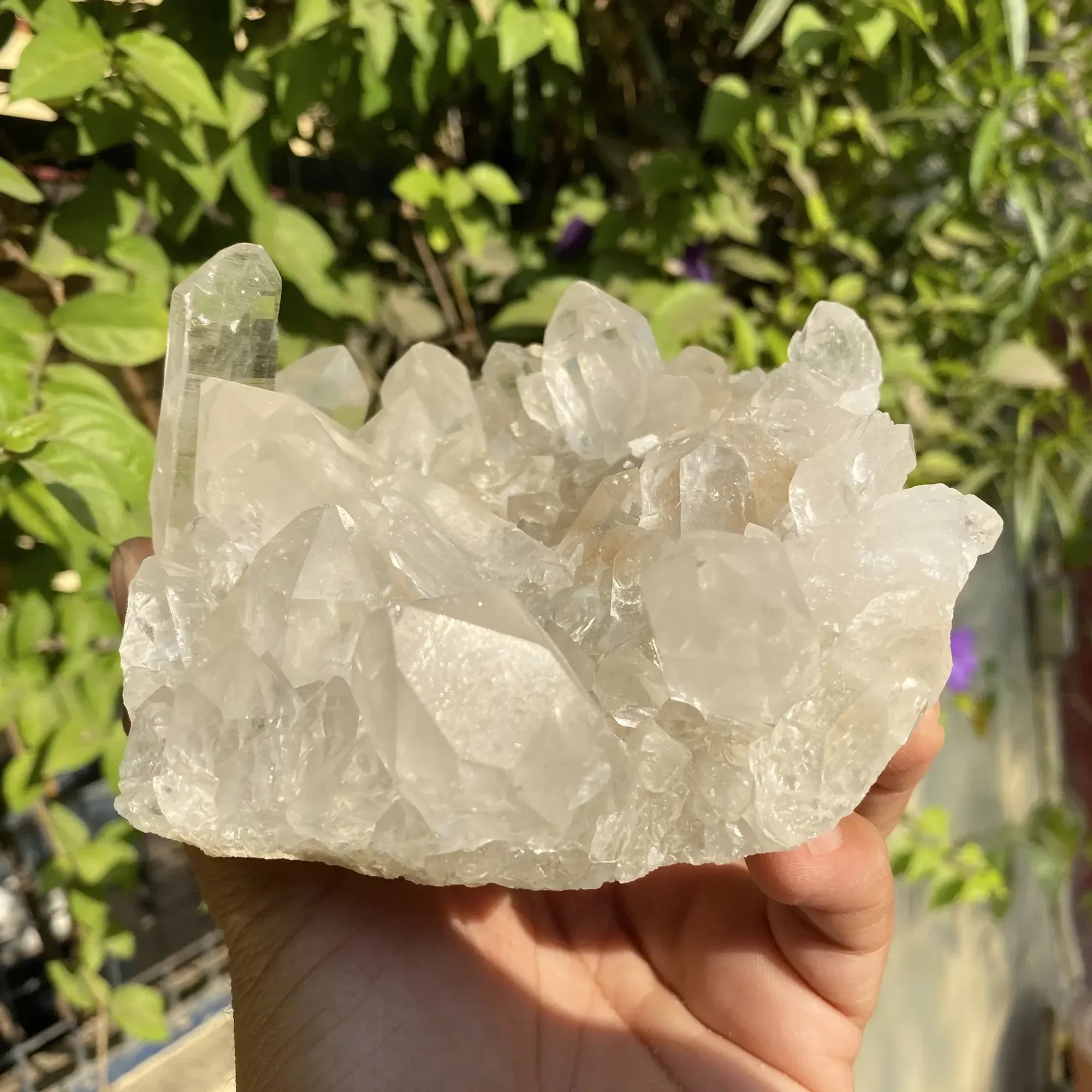Natural Himalayan White Quartz Cluster Himalayan Quartz