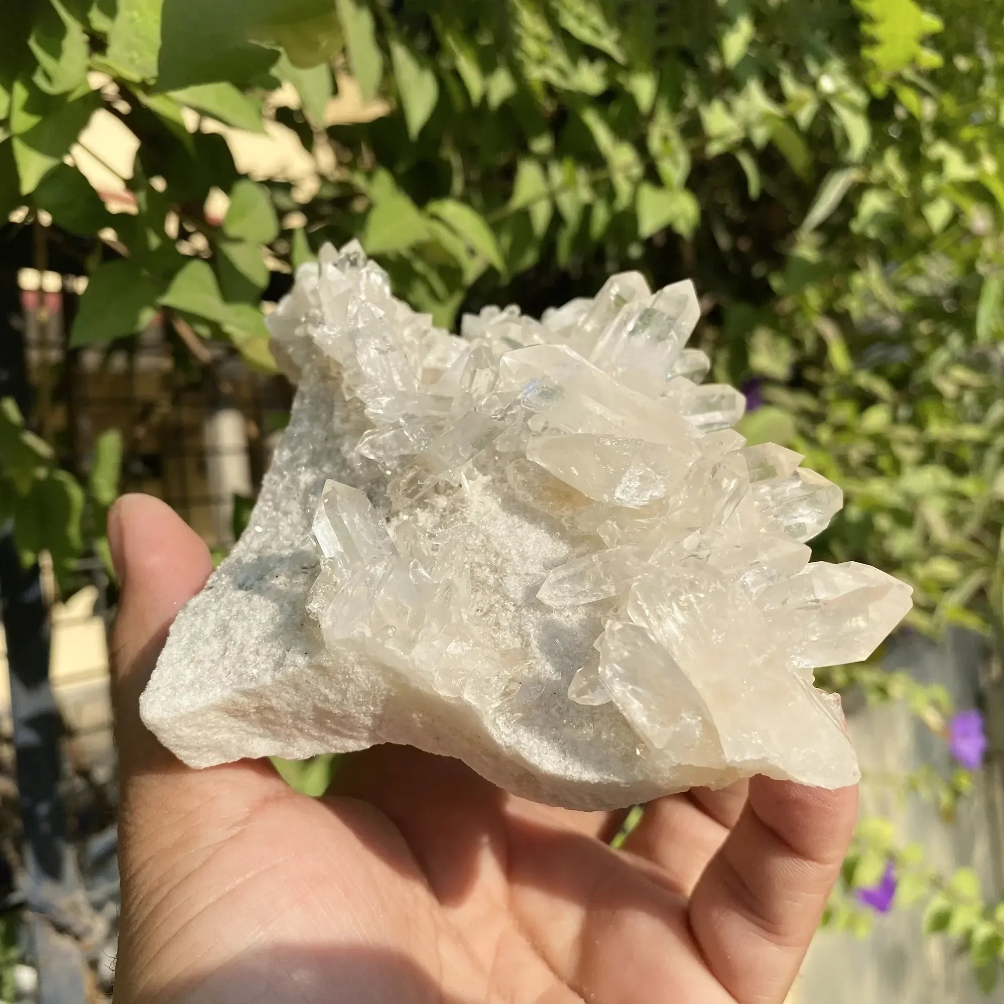 Natural Himalayan White Quartz Cluster Himalayan Quartz