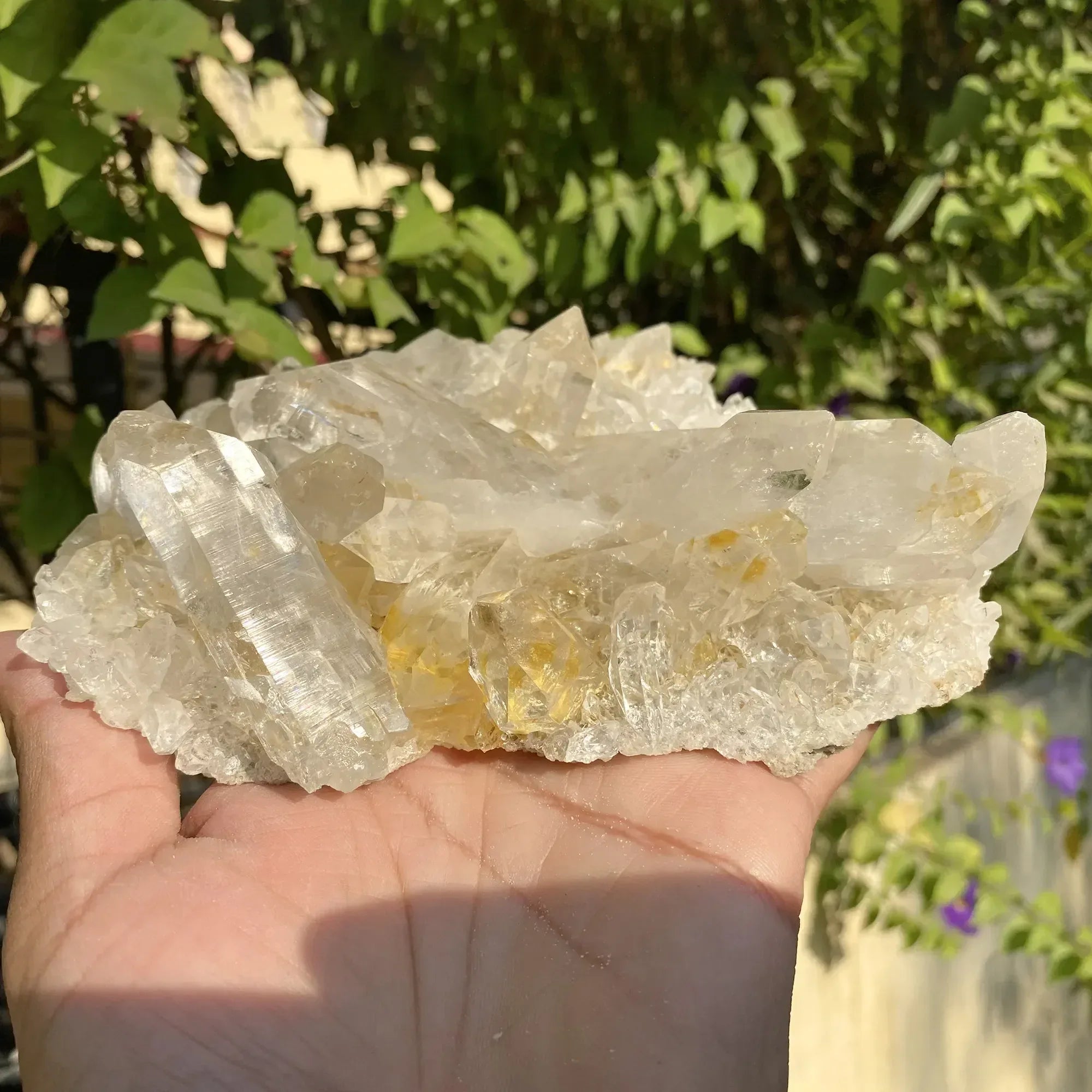 Natural Yellow + White Himalayan Quartz Cluster Himalayan Quartz