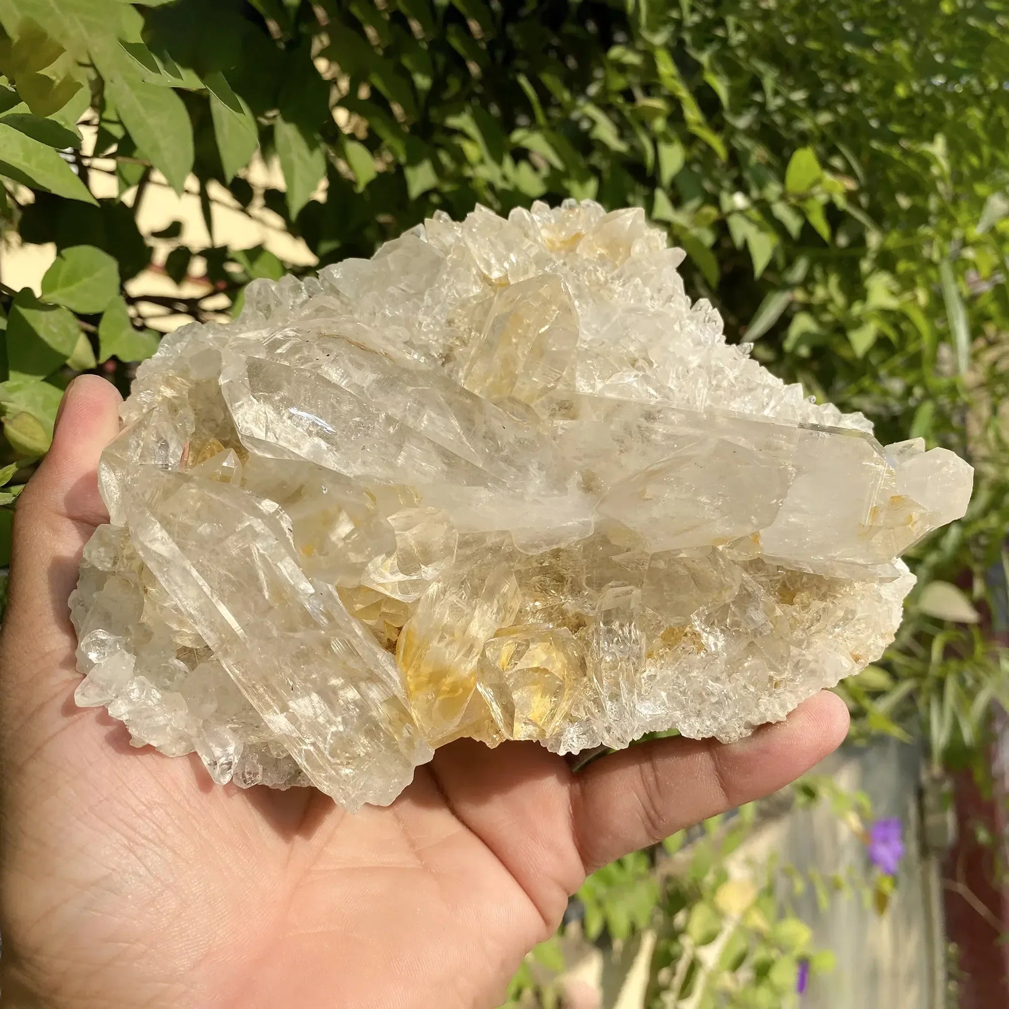 Natural Yellow + White Himalayan Quartz Cluster Himalayan Quartz