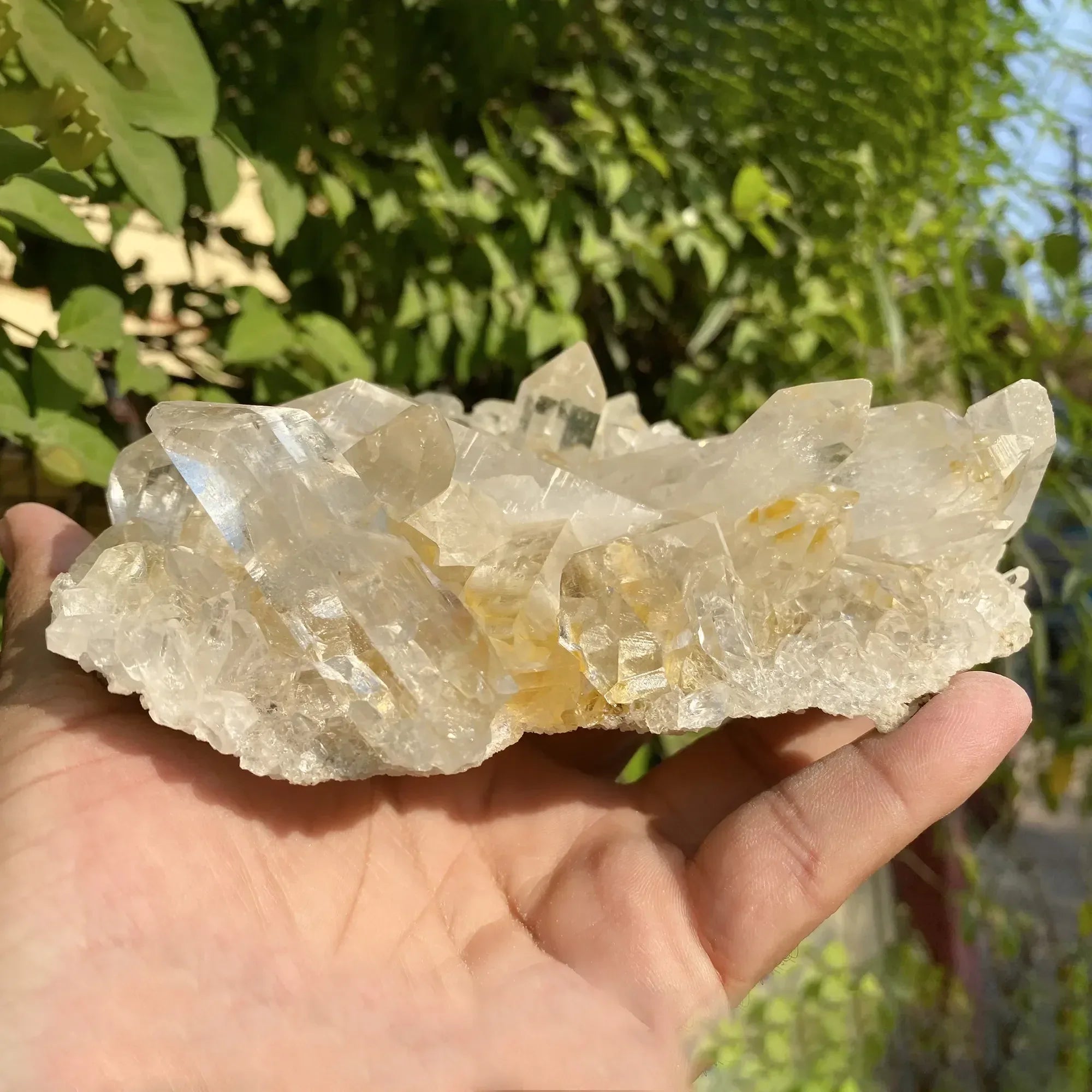 Natural Yellow + White Himalayan Quartz Cluster Himalayan Quartz