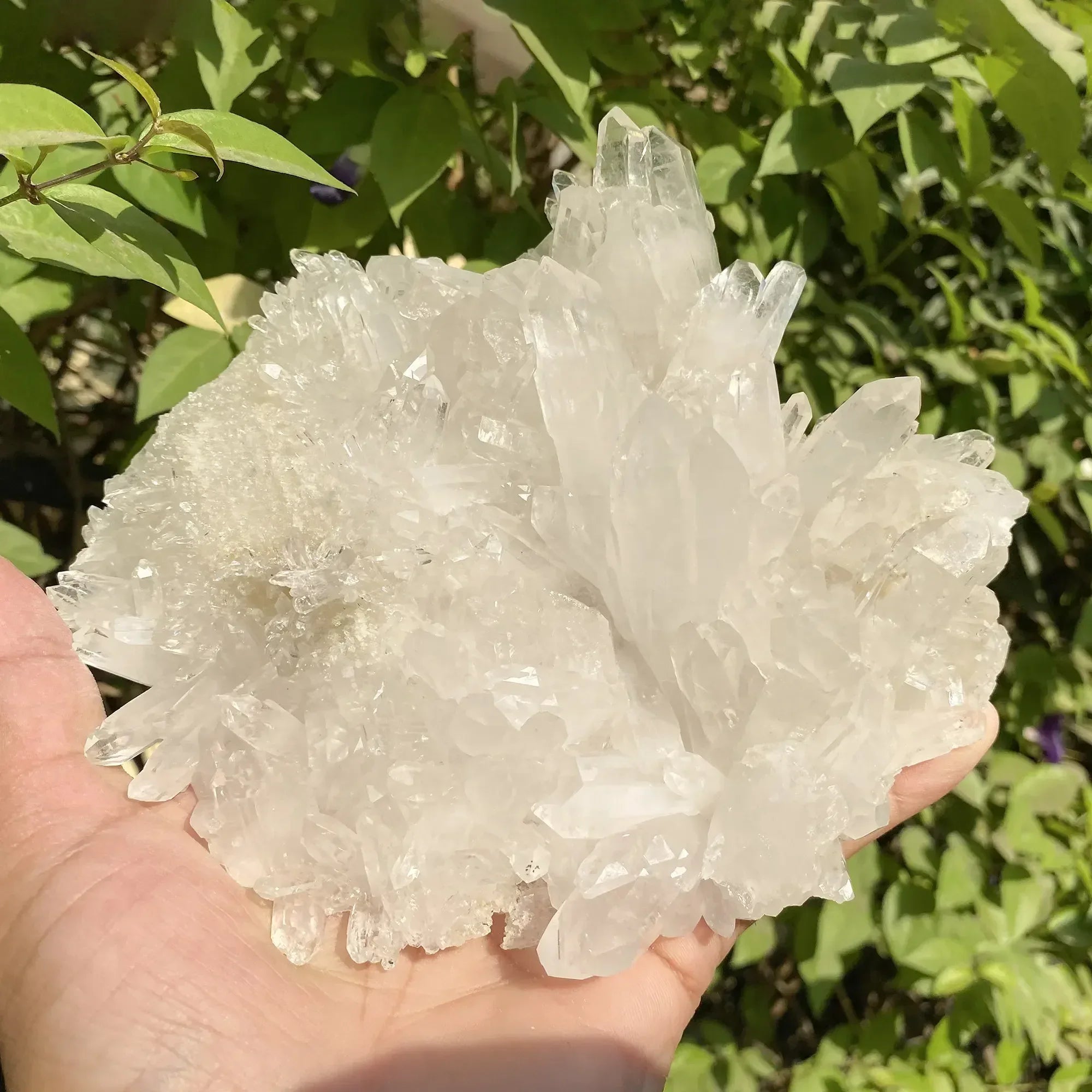Natural Himalayan White Quartz Cluster 745g Himalayan Quartz