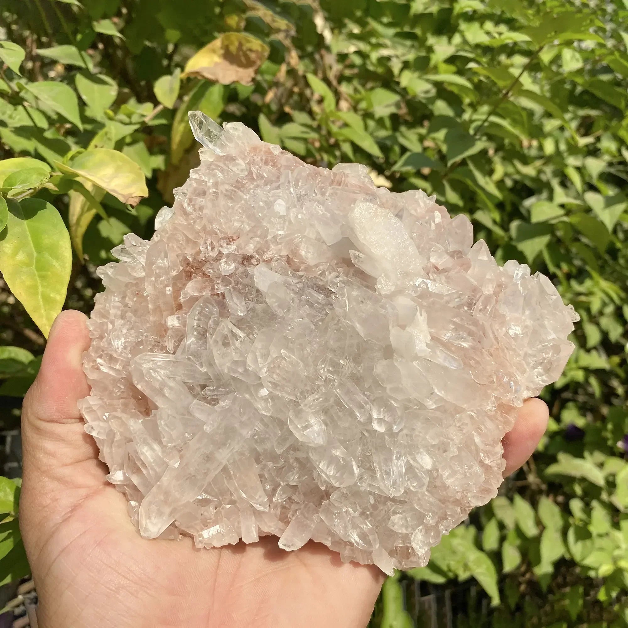 Natural Himalayan Pink Quartz Cluster 630g Himalayan Quartz
