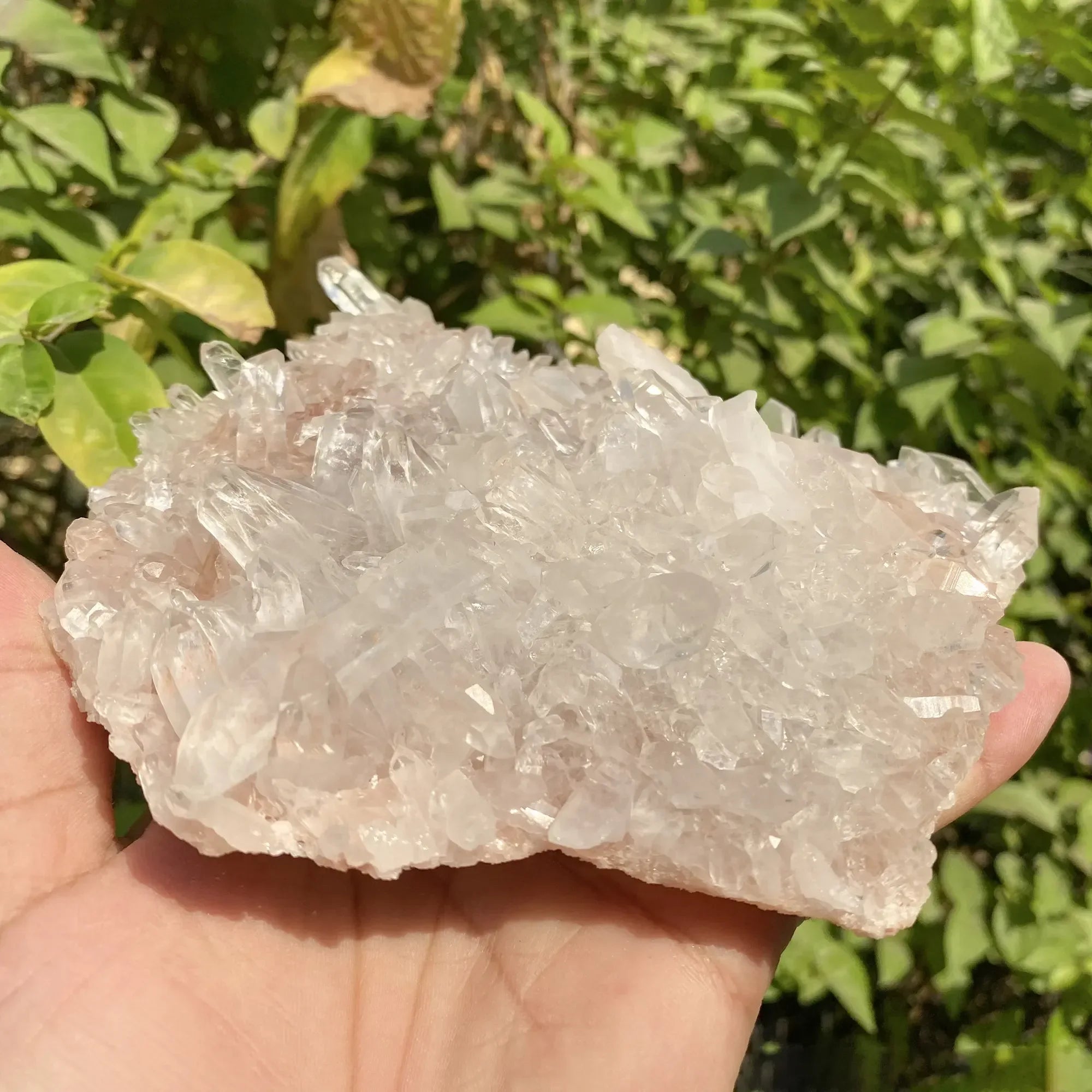 Natural Himalayan Pink Quartz Cluster 630g Himalayan Quartz