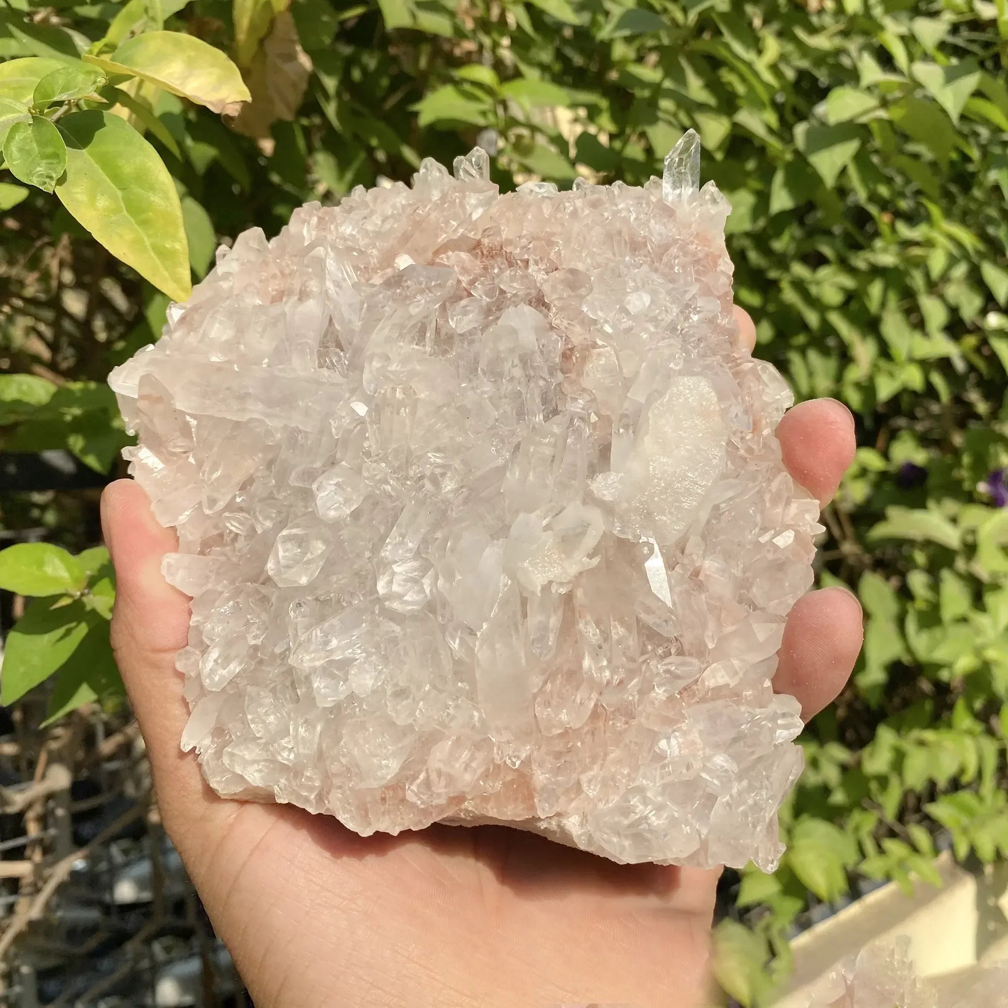 Natural Himalayan Pink Quartz Cluster 630g Himalayan Quartz