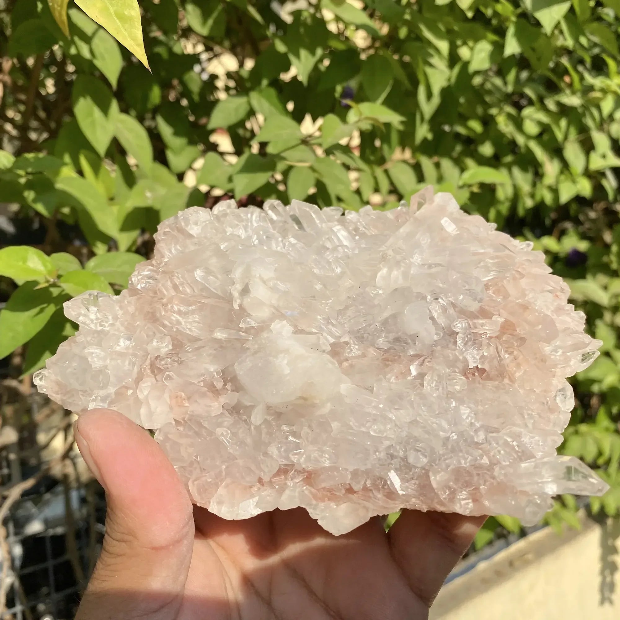 Natural Himalayan Pink Quartz Cluster 630g Himalayan Quartz