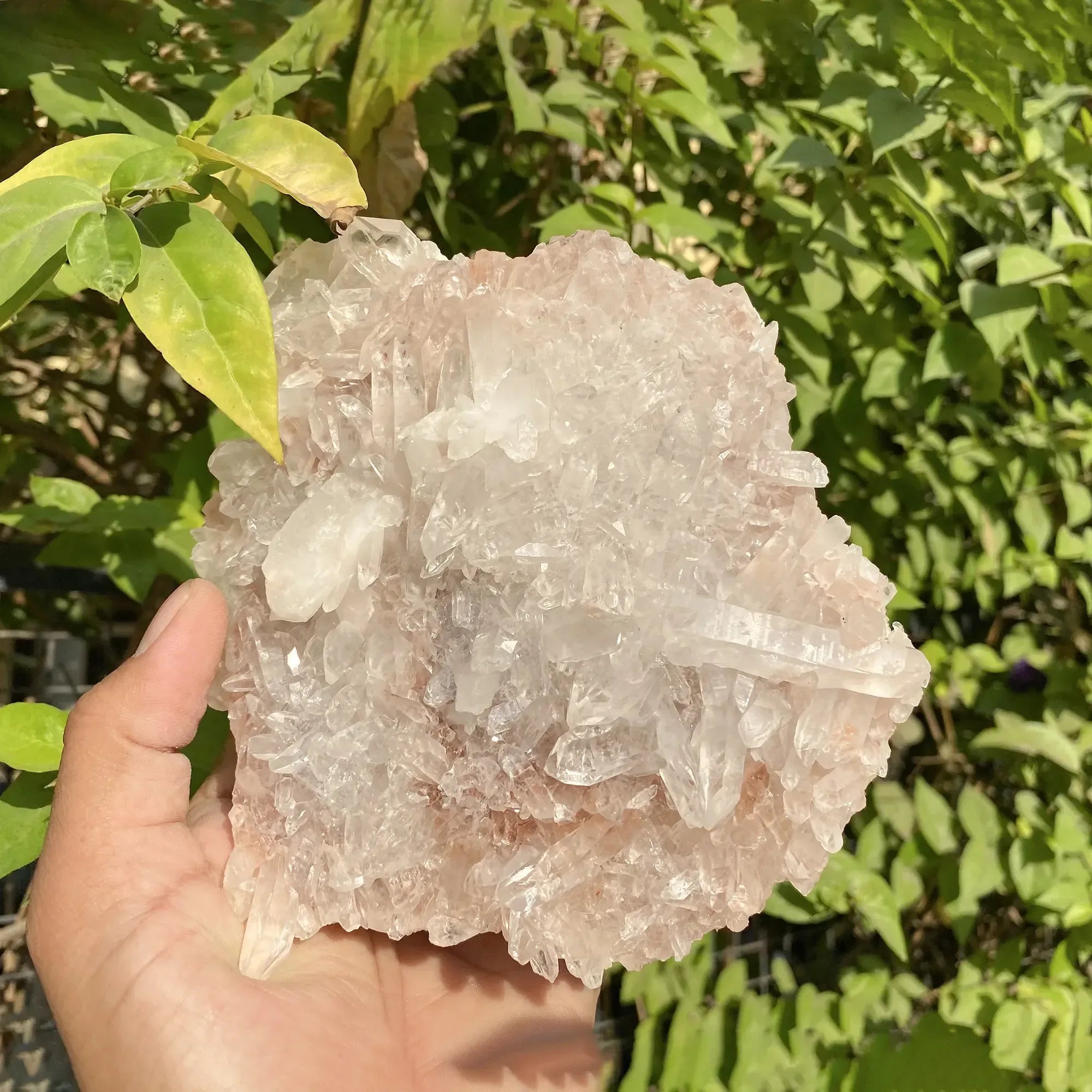Natural Himalayan Pink Quartz Cluster 630g Himalayan Quartz