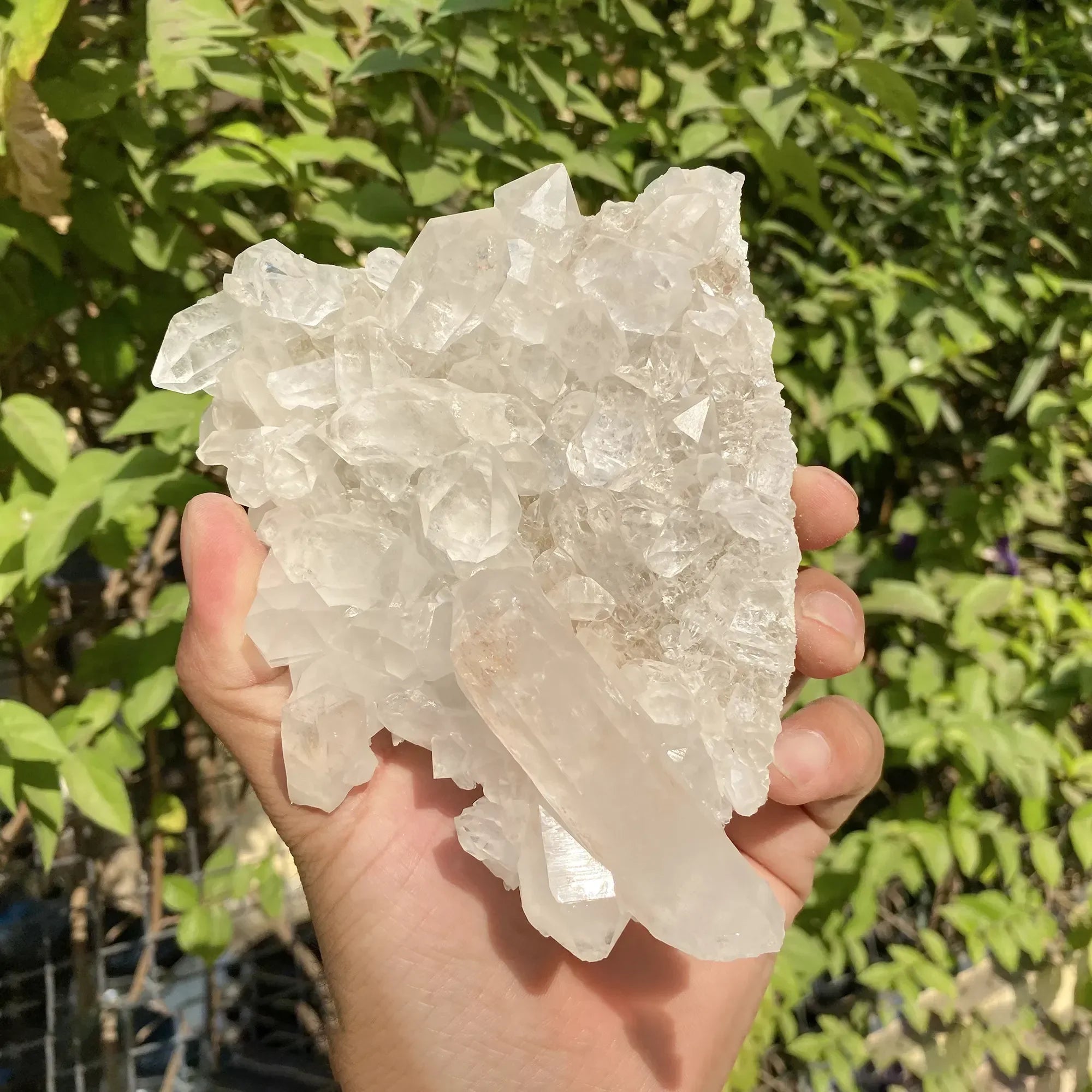 Natural Himalayan White Quartz Cluster 490g Himalayan Quartz