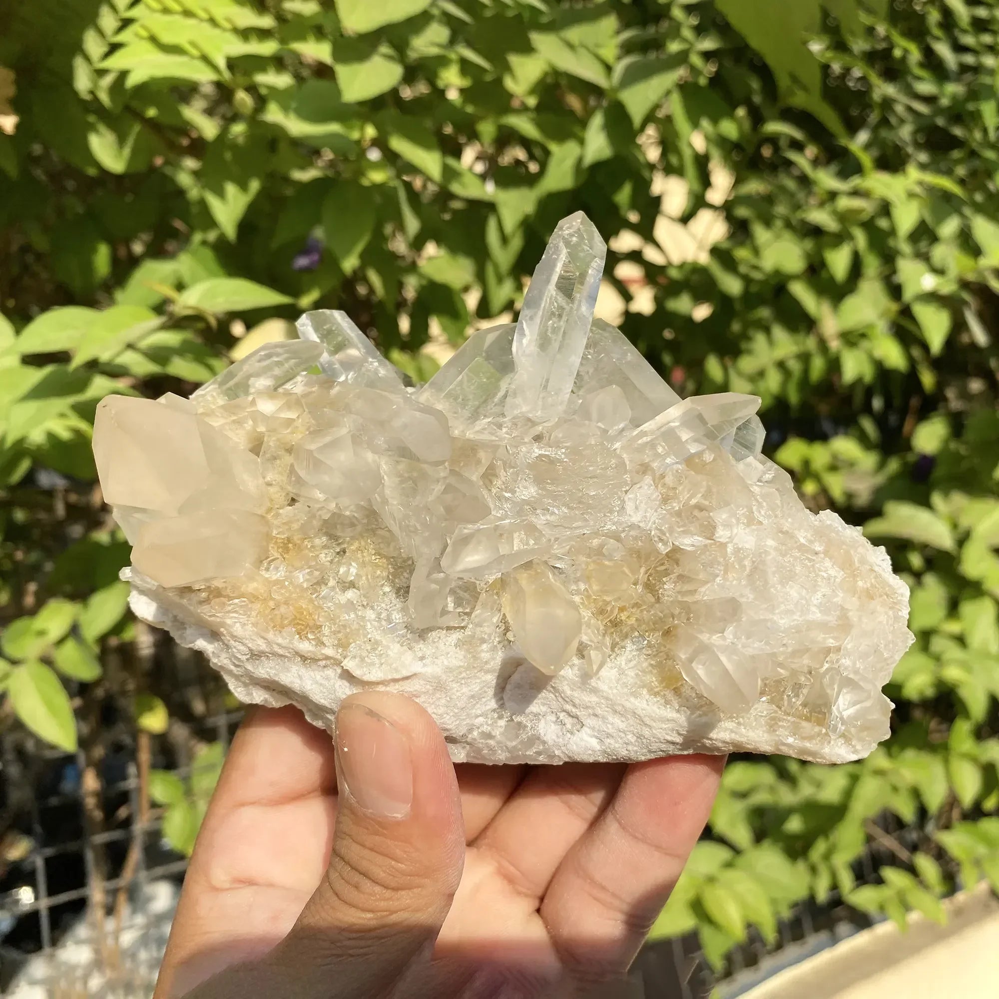 Natural Himalayan White & Yellow Quartz Cluster 565g Himalayan Quartz