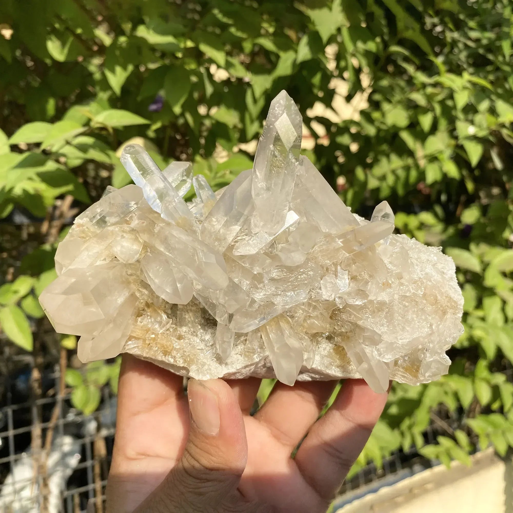 Natural Himalayan White & Yellow Quartz Cluster 565g Himalayan Quartz