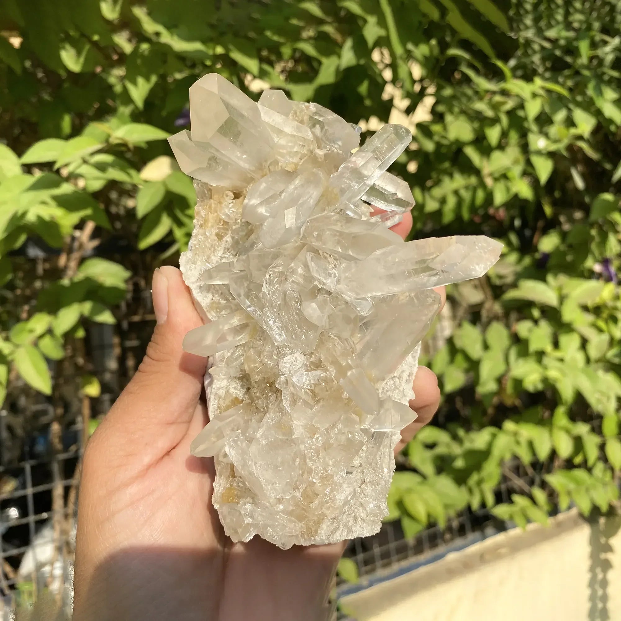 Natural Himalayan White & Yellow Quartz Cluster 565g Himalayan Quartz