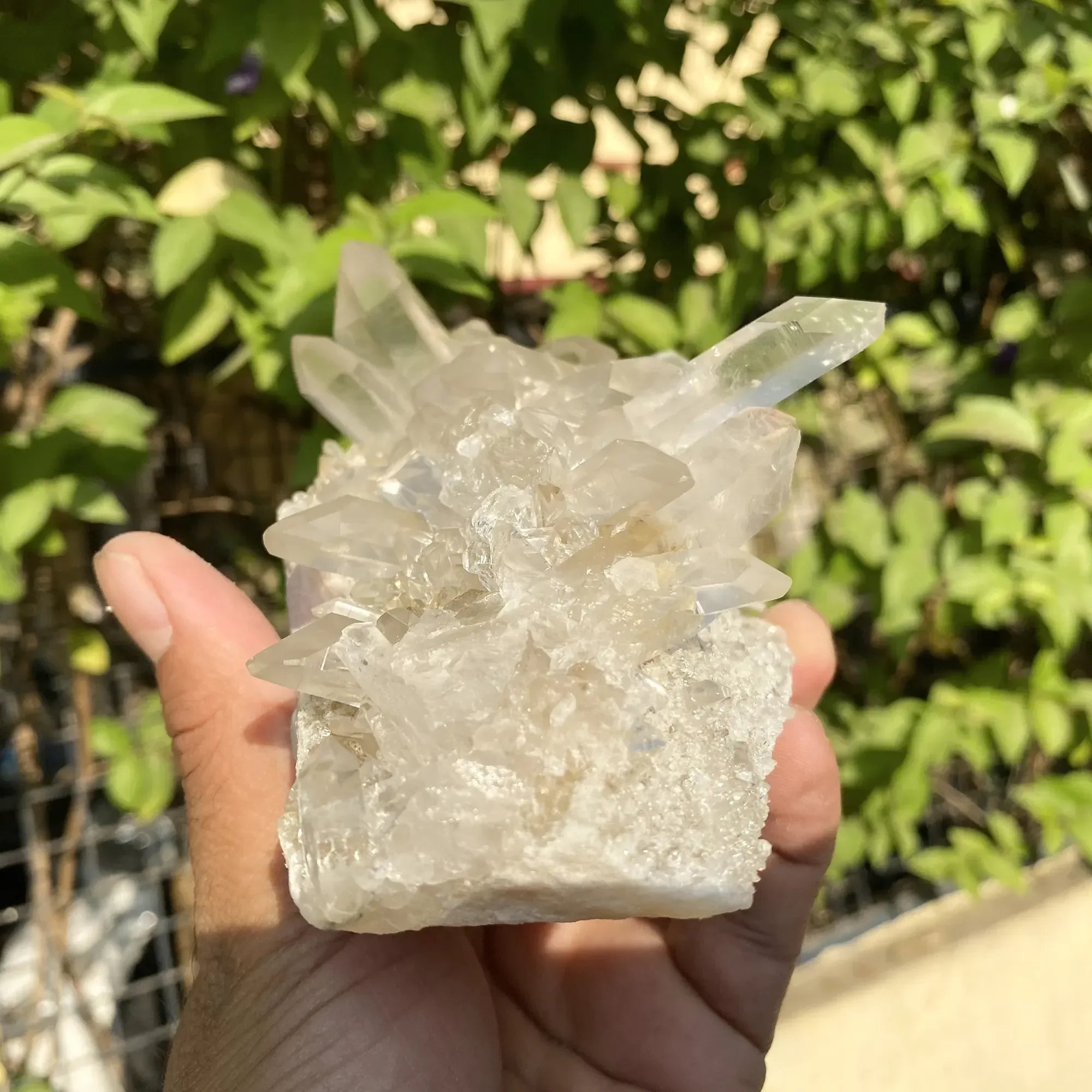 Natural Himalayan White & Yellow Quartz Cluster 565g Himalayan Quartz