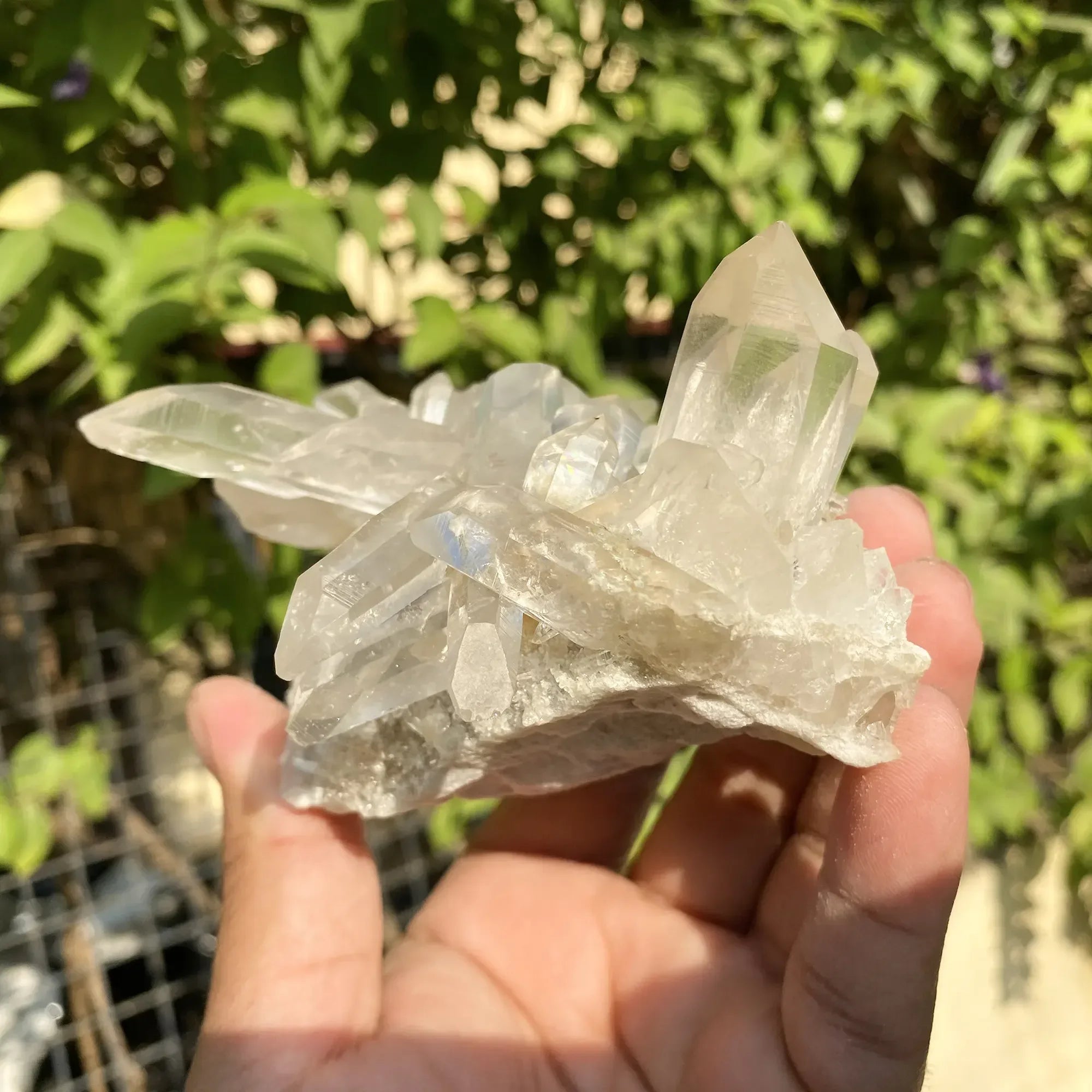 Natural Himalayan White & Yellow Quartz Cluster 565g Himalayan Quartz