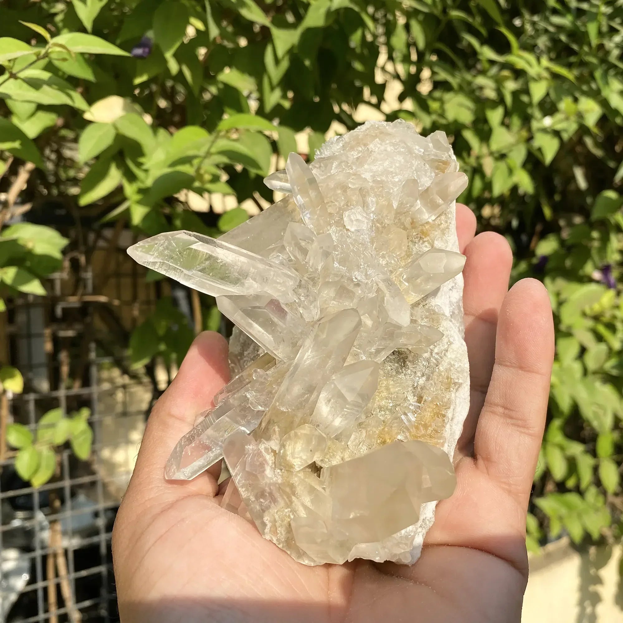 Natural Himalayan White & Yellow Quartz Cluster 565g Himalayan Quartz